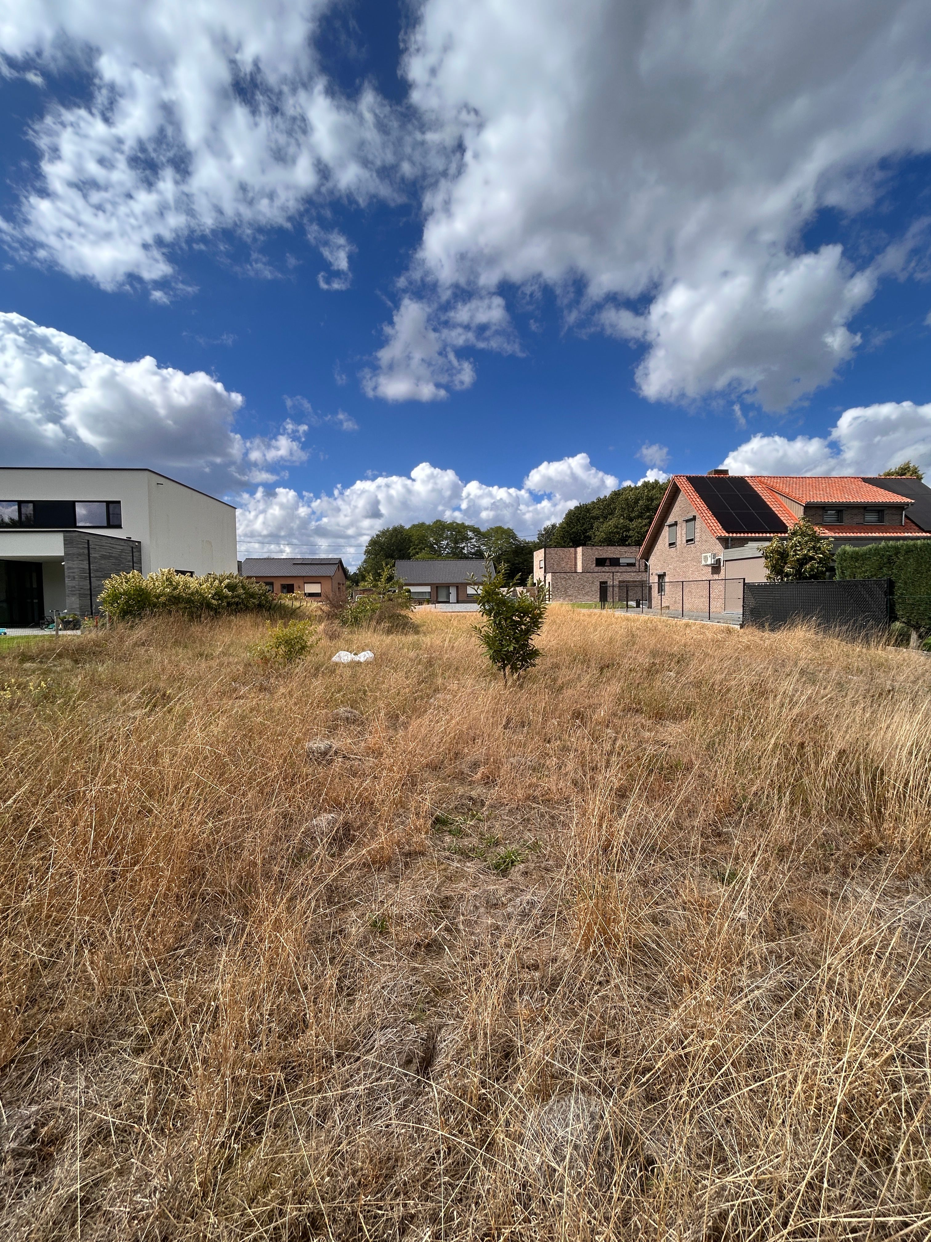 TE KOOP: Rustig gelegen perceel voor ééngezinswoning op 11a 57ca (Spechtenstraat – Hechtel) foto 3