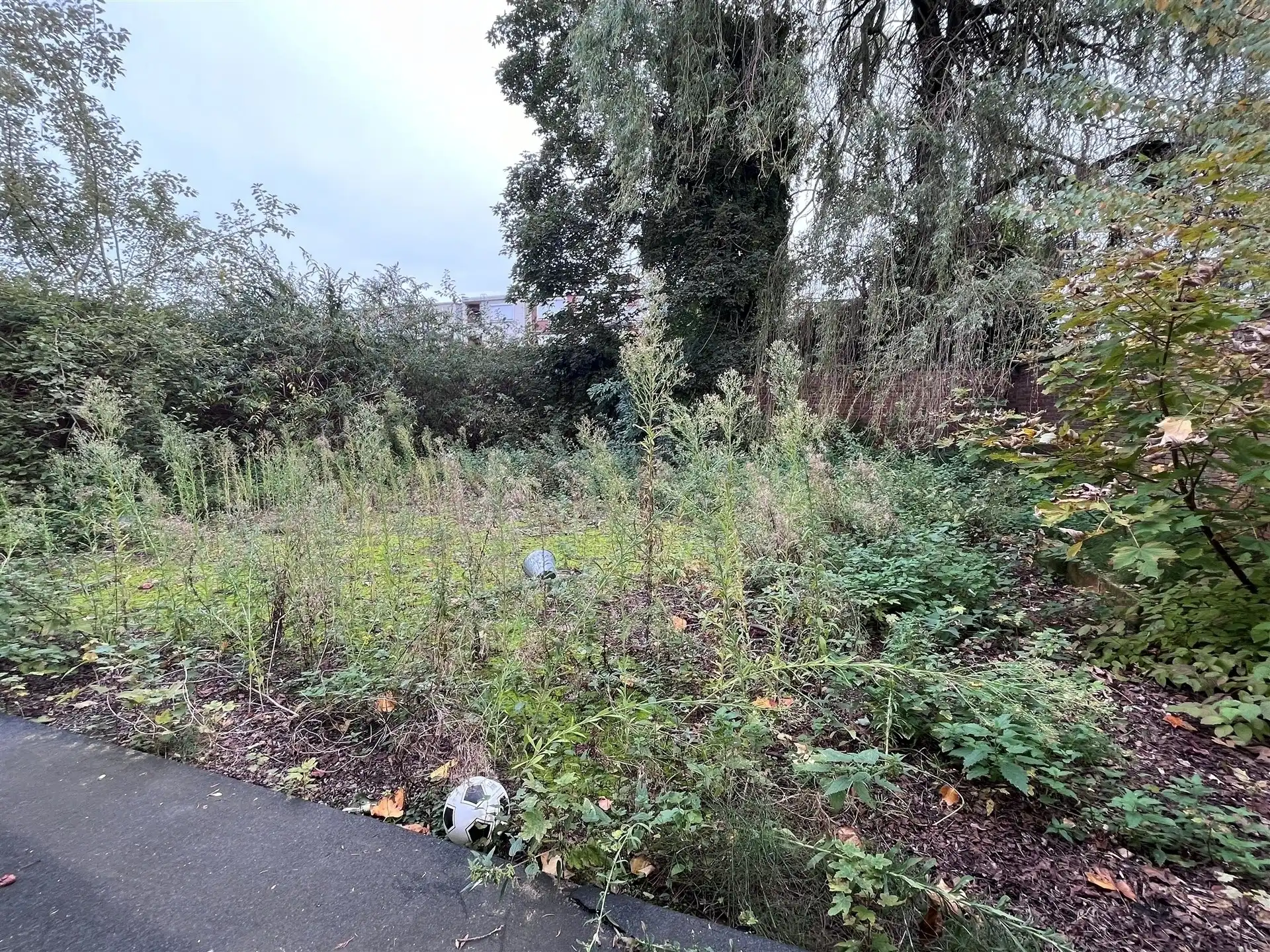 Polyvalente handelsvloer met tuin - Boomsesteenweg foto 9