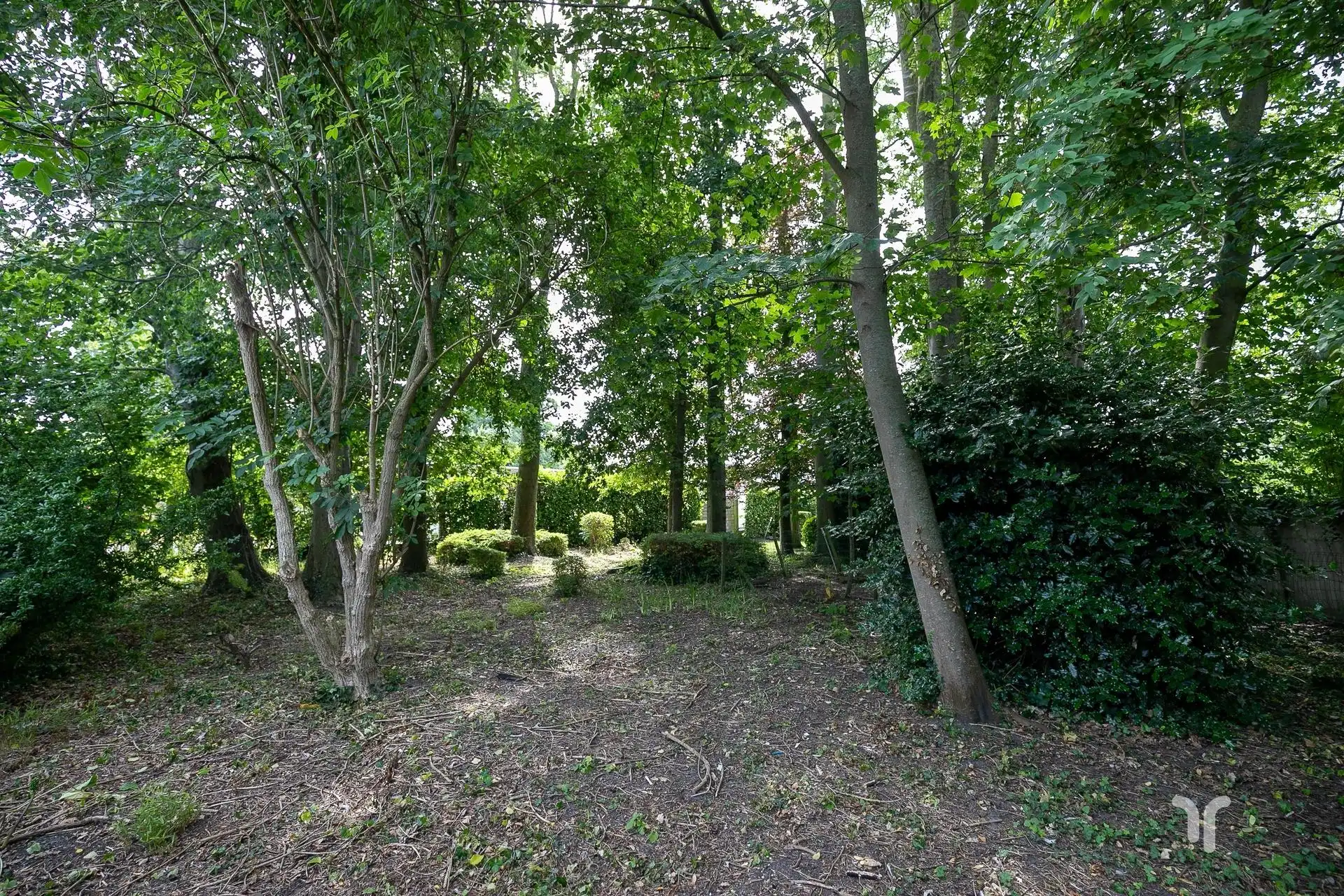 Instapklaar pand, met tal van mogelijkheden, met ruime tuin en uitweg. foto 14