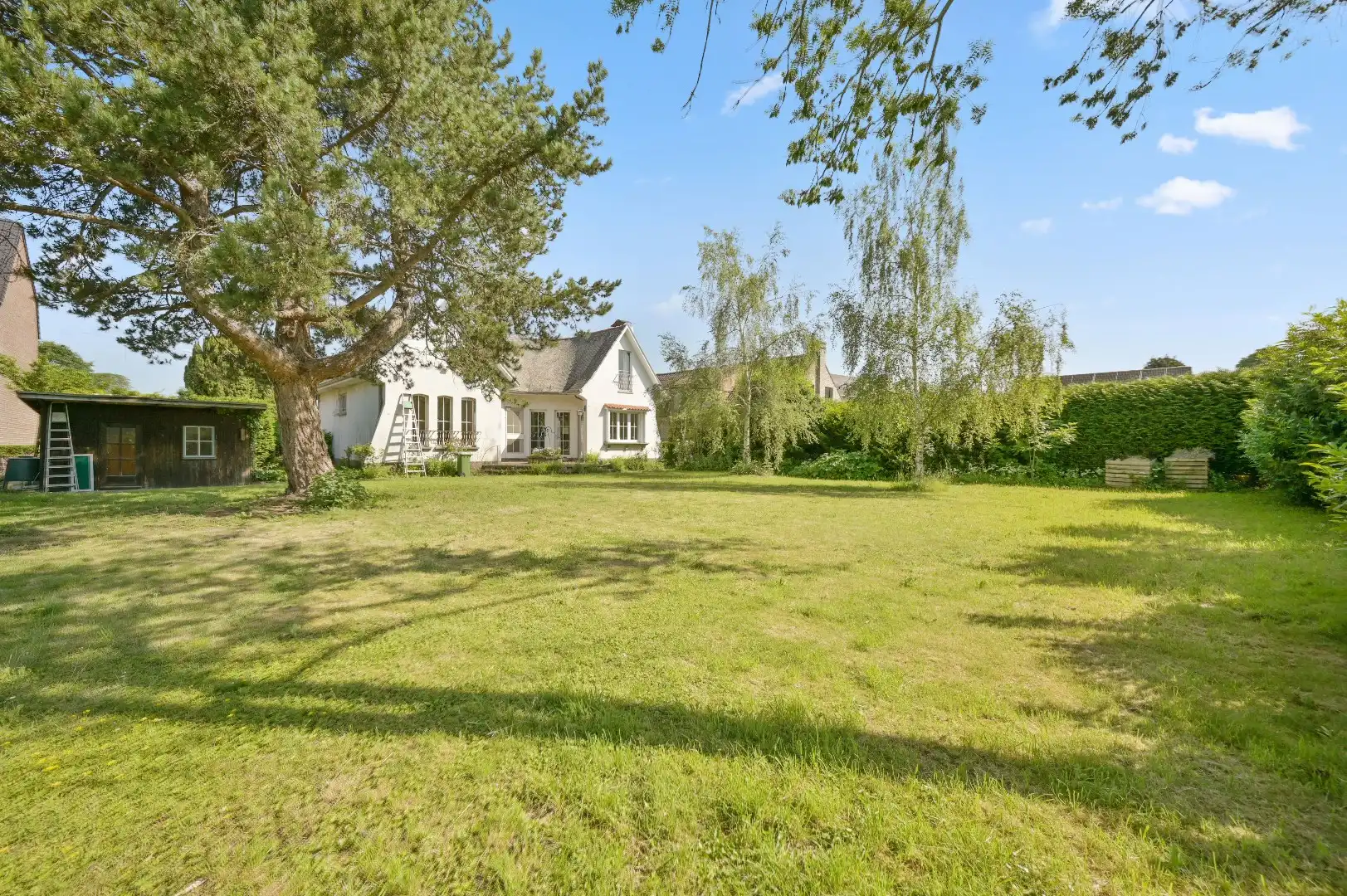 Te renoveren open bebouwing met ruime tuin en tal van mogelijkheden in Tienen foto 2