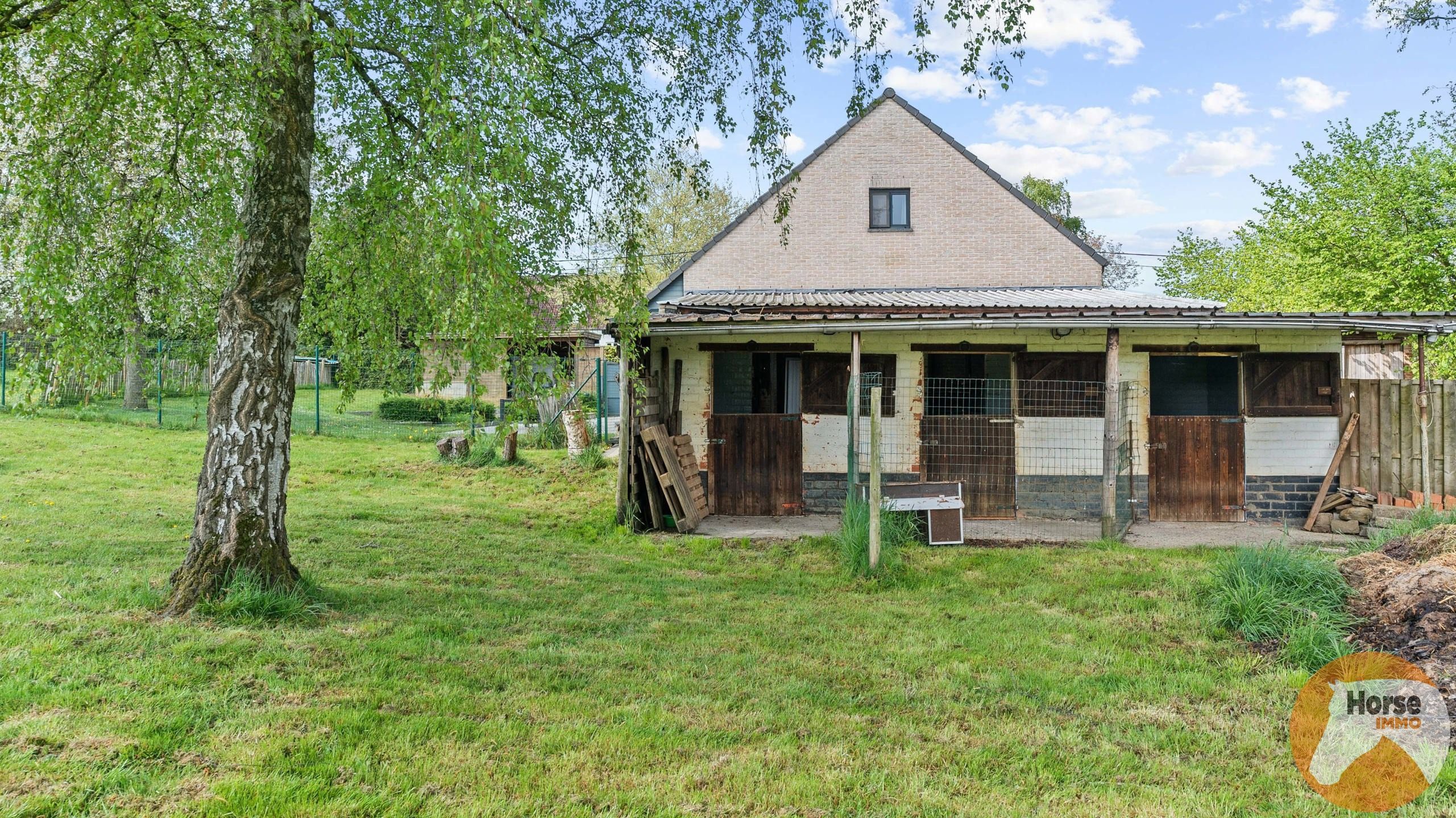 SCHERPENHEUVEL-Instapklare woning op 2ha3 en wijds zicht  foto 5