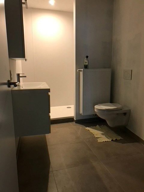 Verhuurd appartement gerenoveerd in 2019, energielabel C foto 11