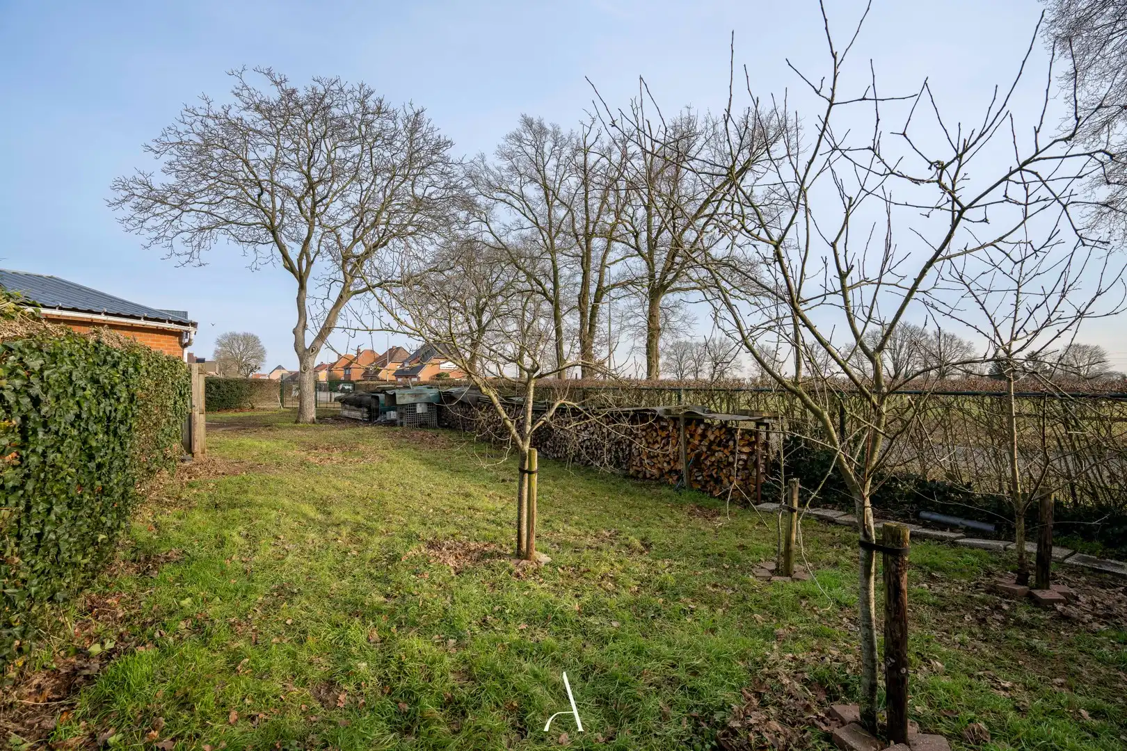 Landelijk wonen met volwaardige paardenaccommodatie op 7.929 m² in Tongerlo (Bree) foto 21