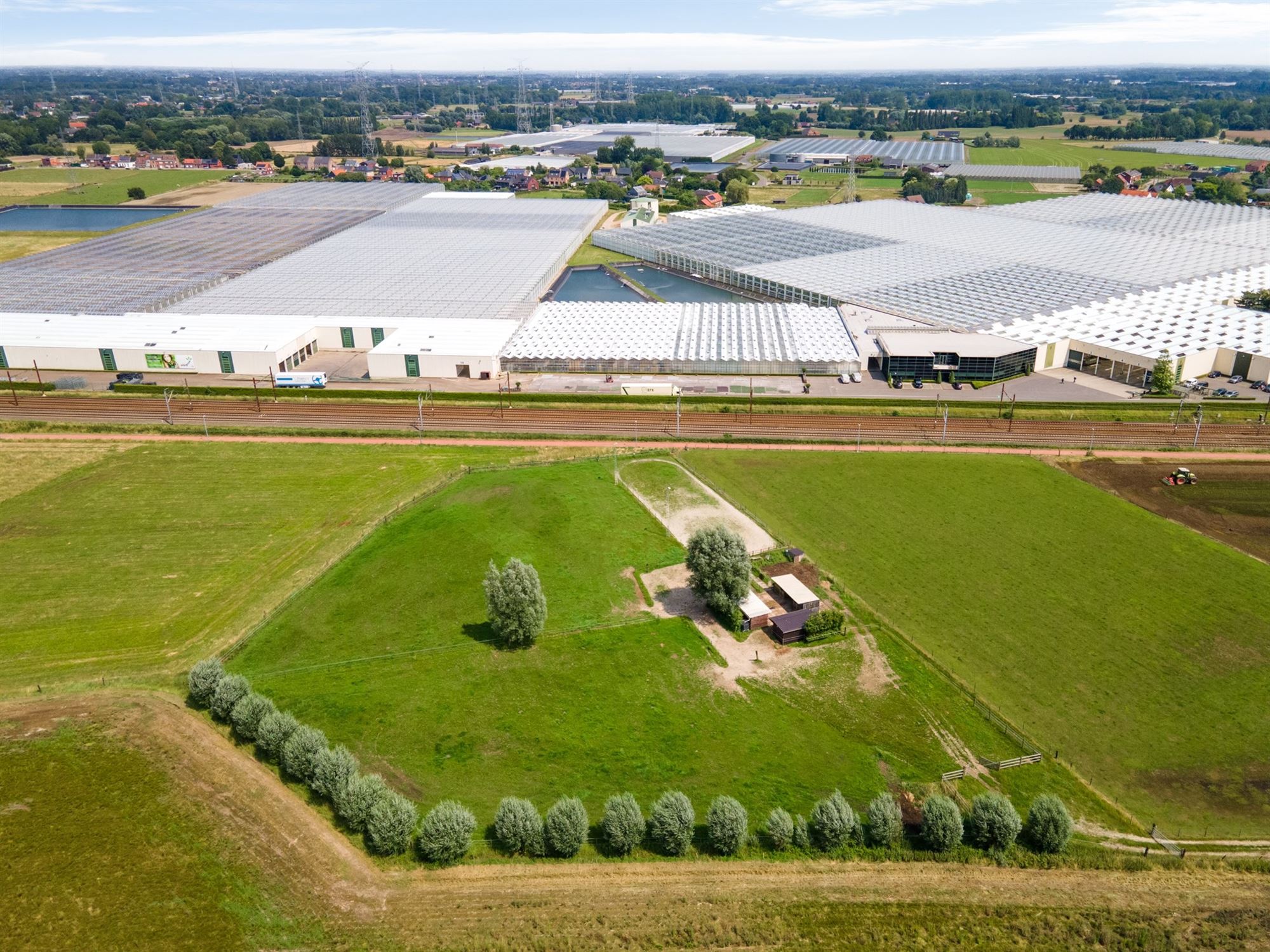 Prachtige paardenweide met stallen en piste foto 3