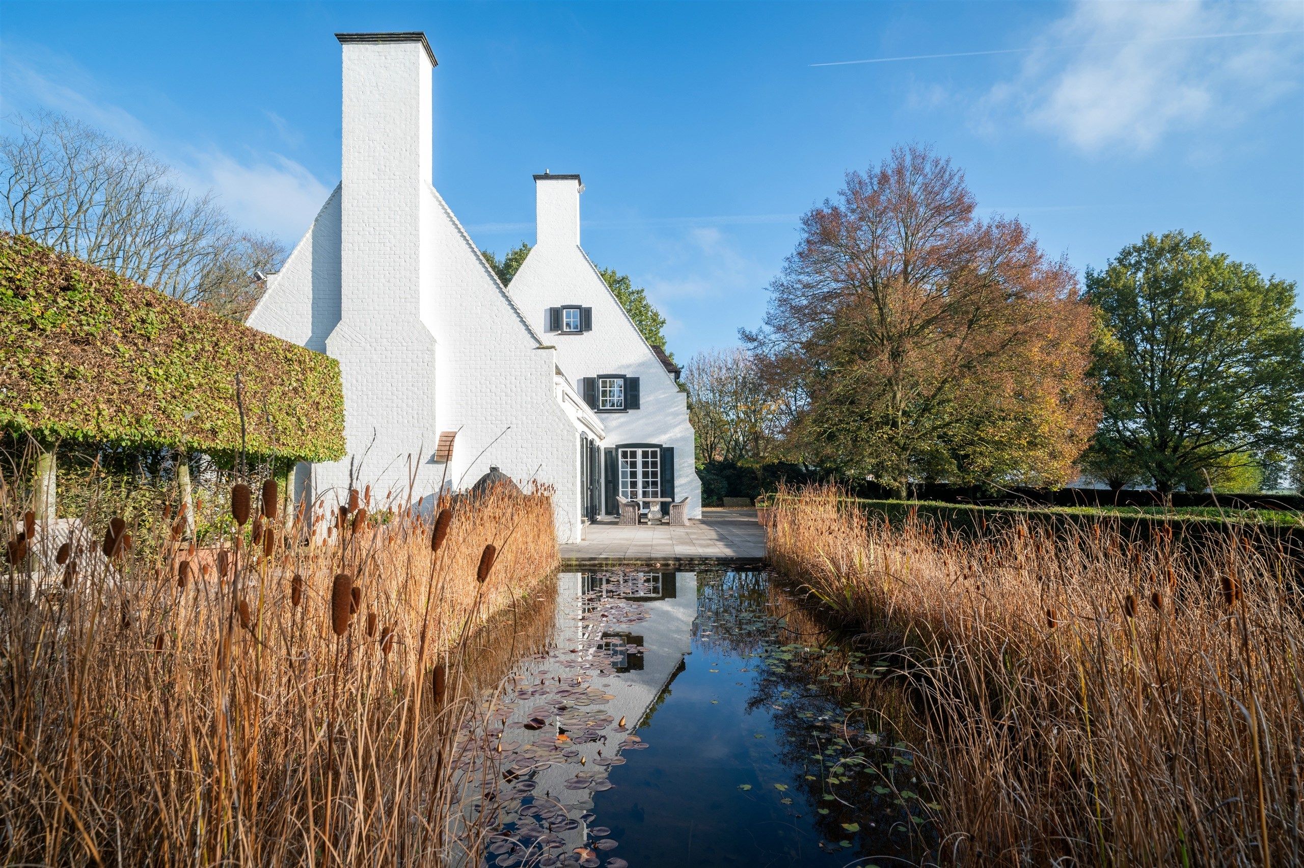 Bellegem bos: uitzonderlijk, waardevol landgoed! foto 10