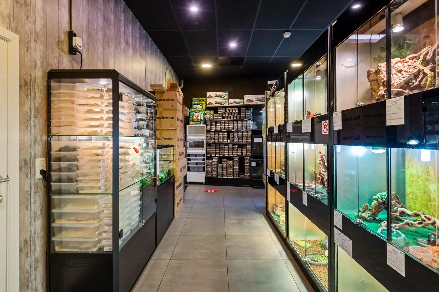 Ruim handelsgelijkvloers (208 m²) met brede etalage en buitenruimte (72 m²) in Kontich foto 16