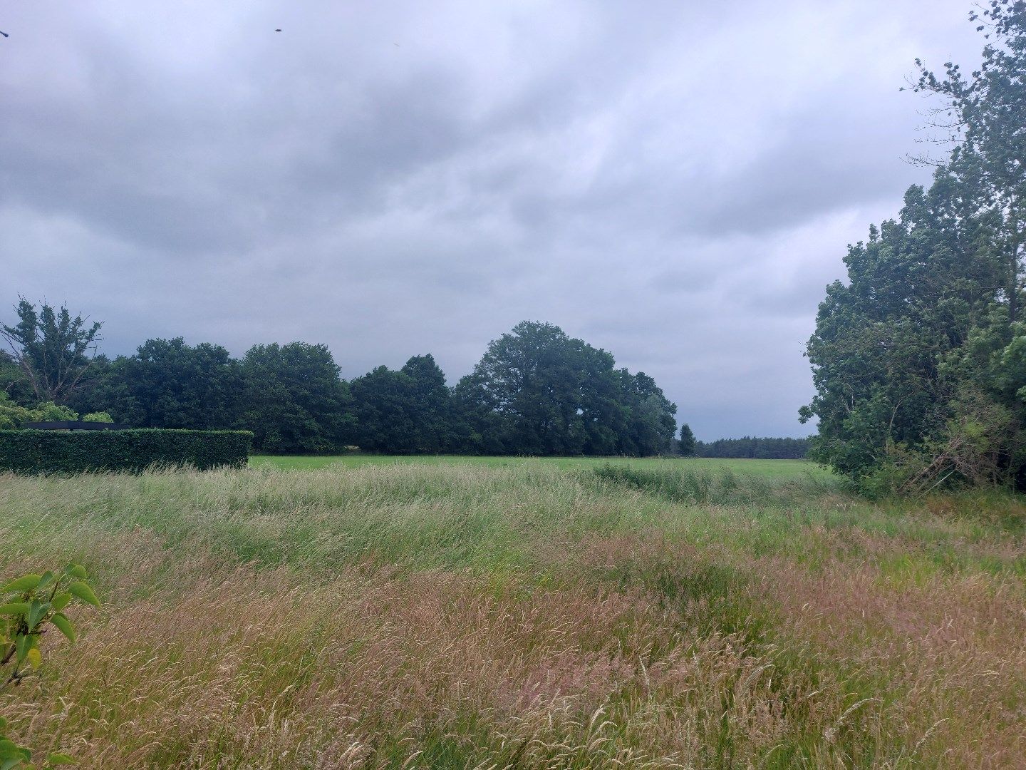 Prachtige bouwgrond met weiland te koop! foto 4