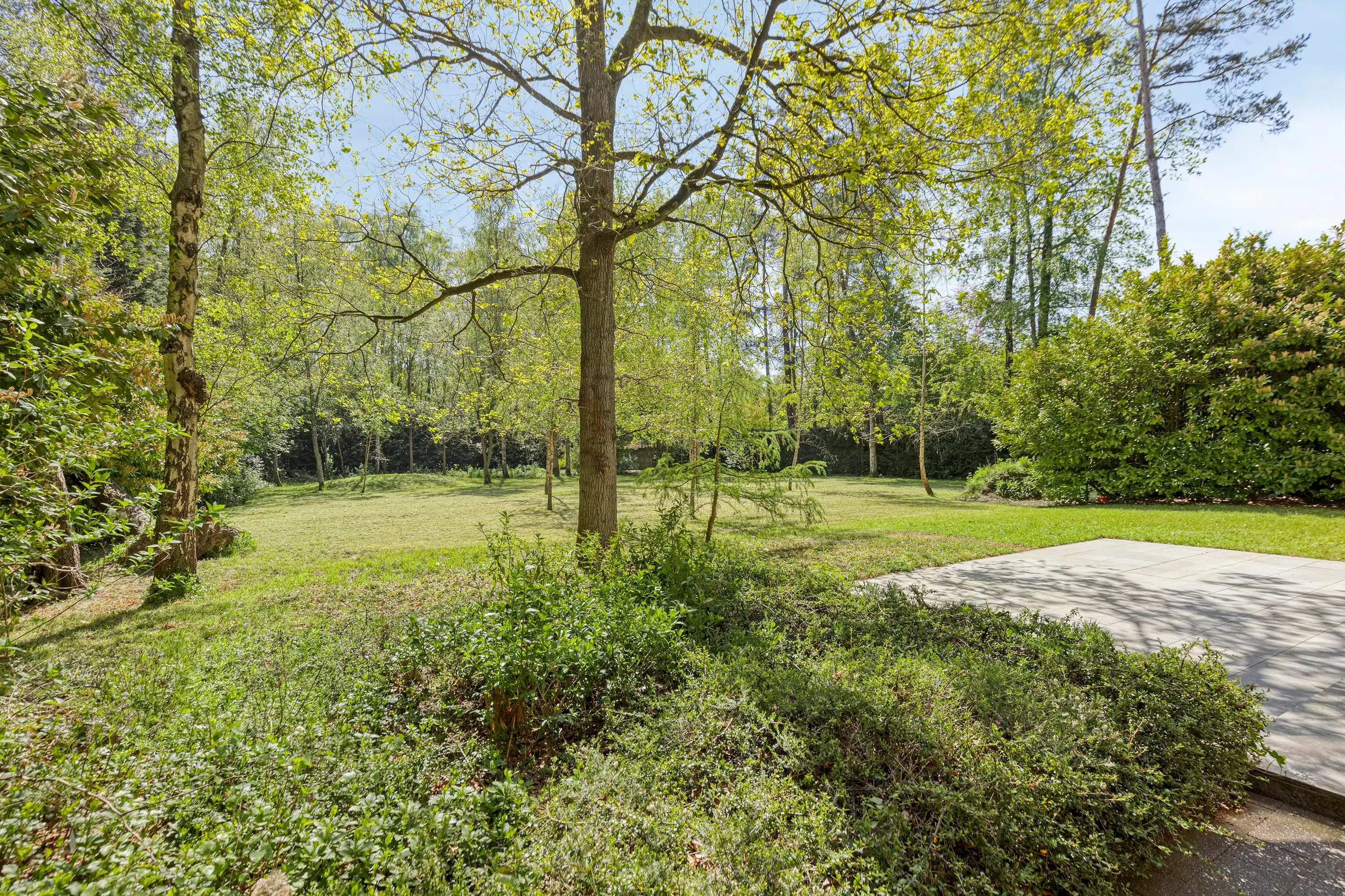 Exclusieve villa in Schilde met ruime zuid-gerichte tuin. foto 31