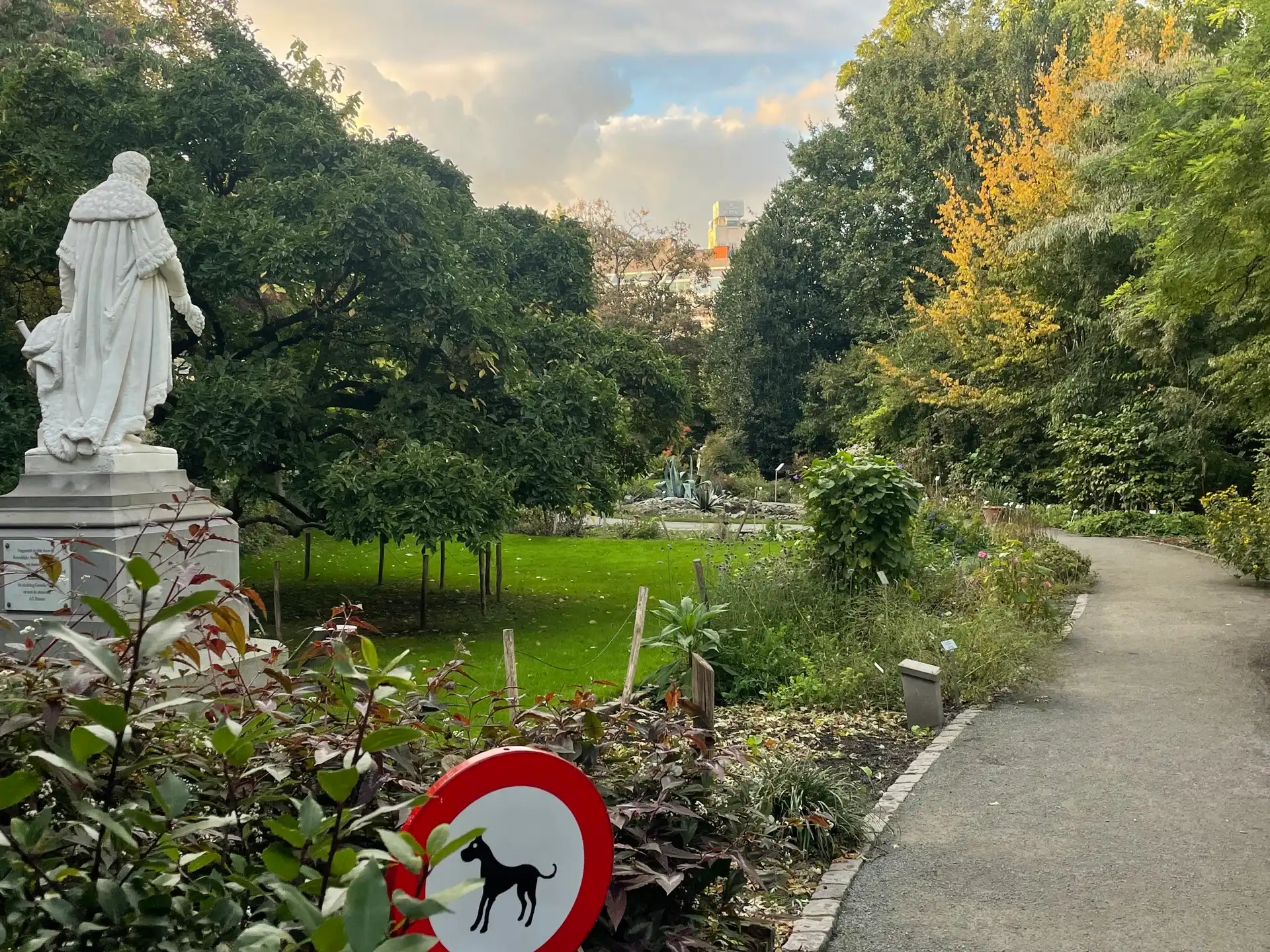 Studio te koop foto 11