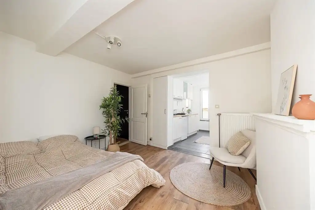 Charmant appartement in Antwerpen foto 6