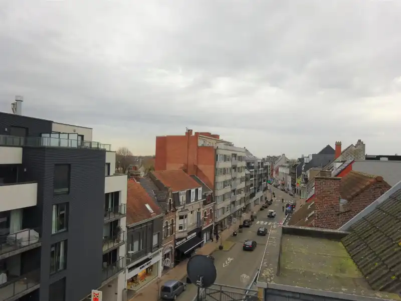 Instapklaar dakappartement met 1 slaapkamer en terras foto 10