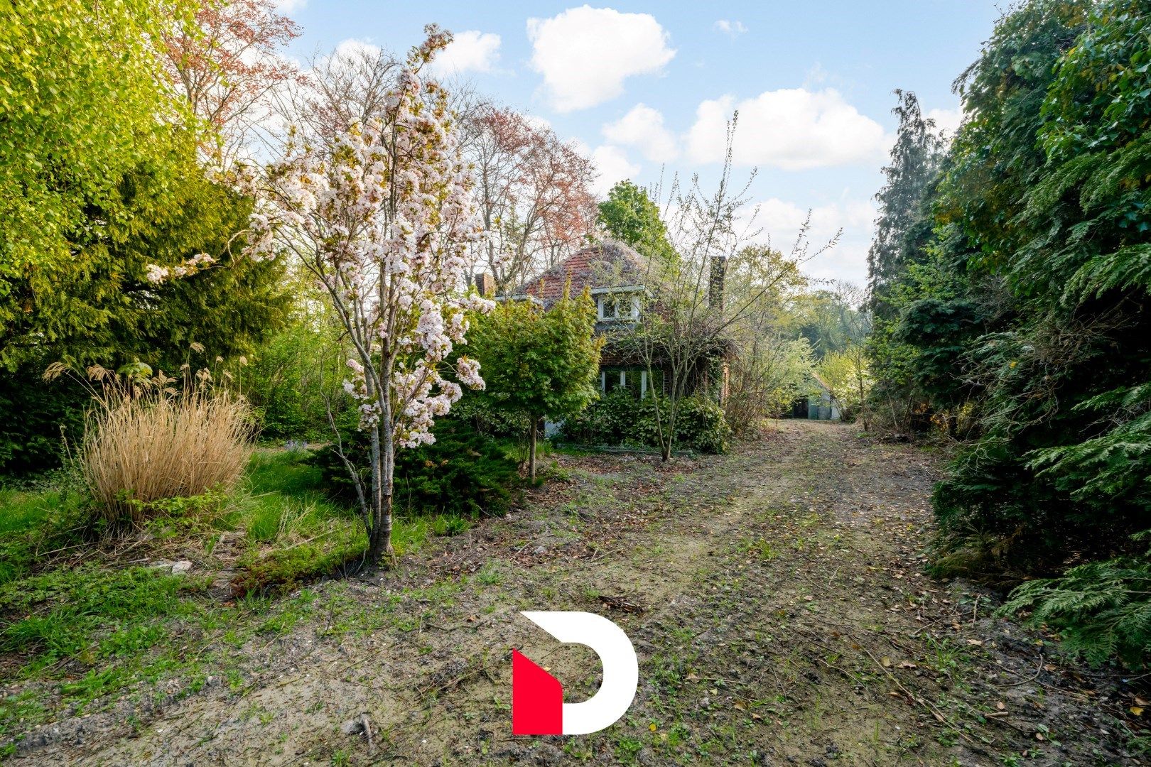 Uniek perceel van 6.448 m² met te renoveren woonst aan Merkenveld bos te Zedelgem  foto 6