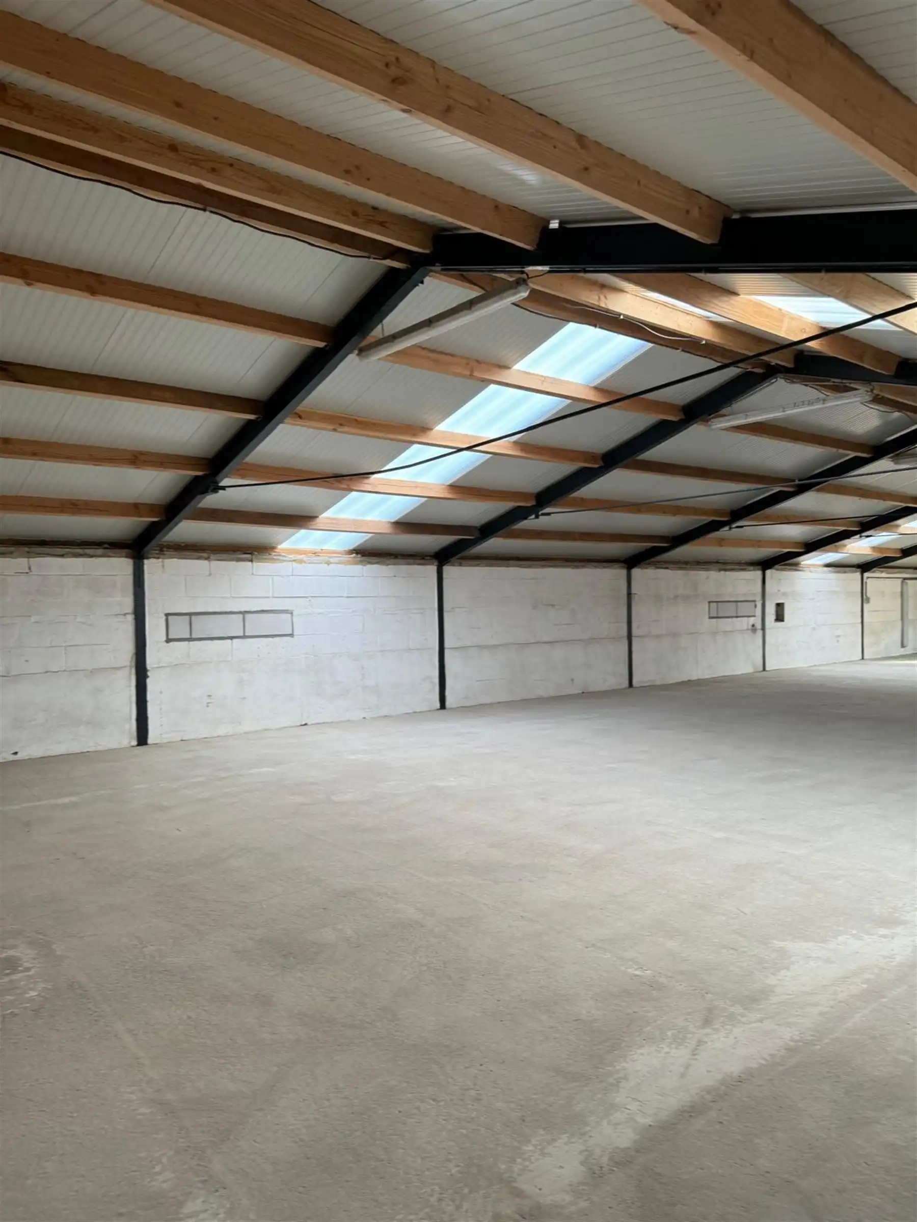 Goed geïsoleerde opslagruimte van 240  m² foto 3