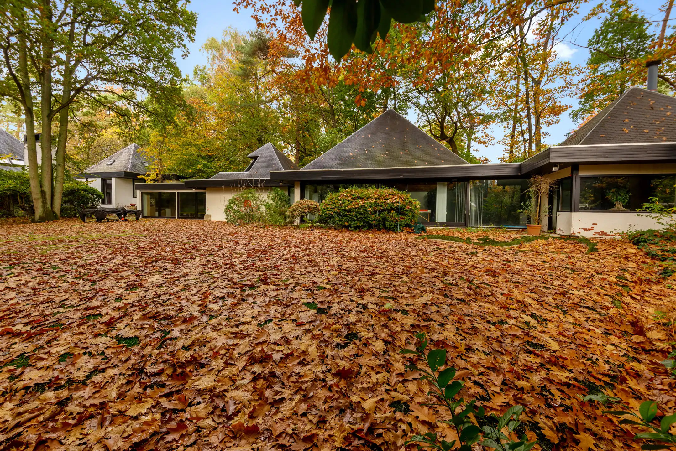Verscholen in de natuur, in 1 van de mooiste lanen van Vriesdonk, rustig en residentieel: Architectenwoning op ca. 5.710 m².  foto 2