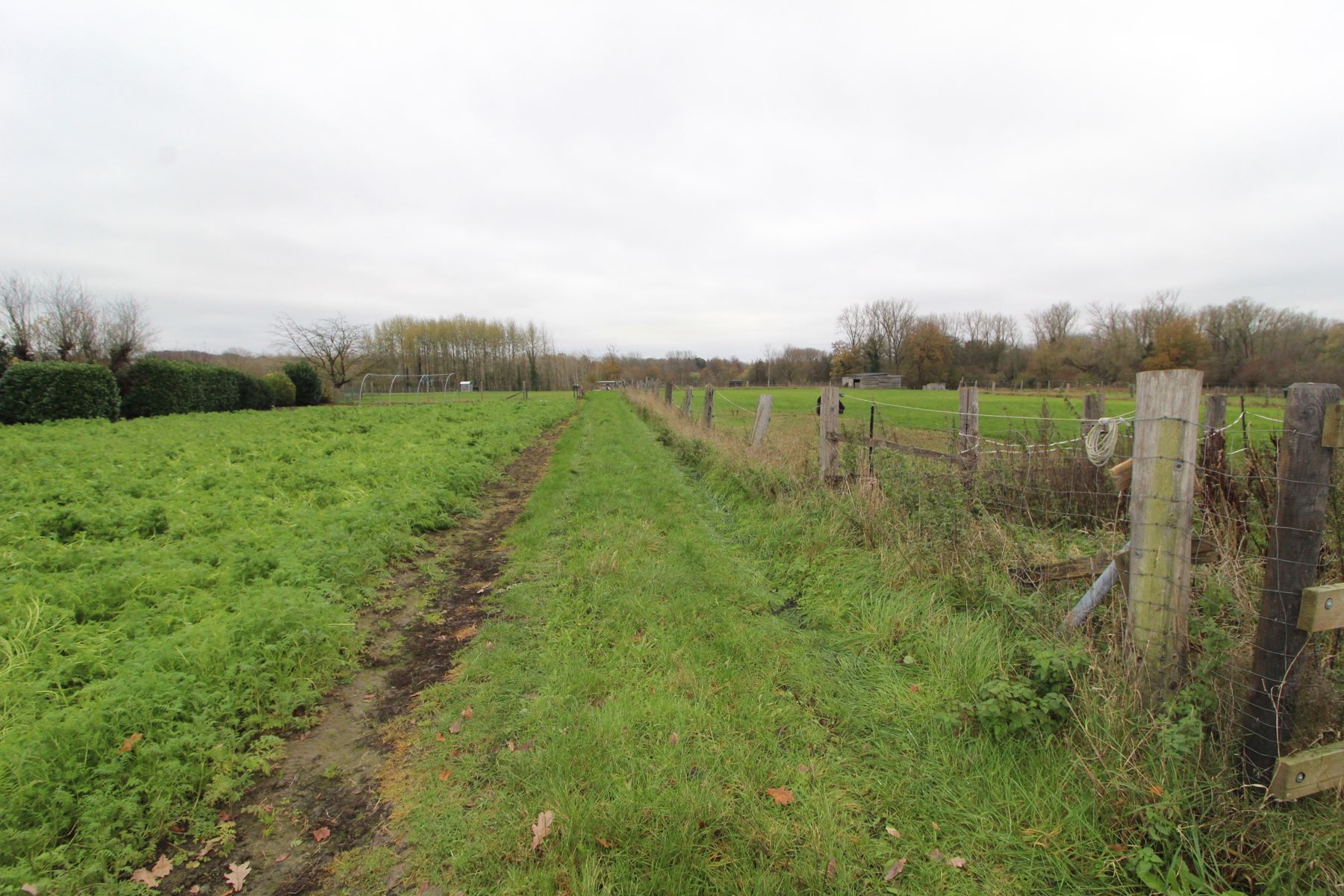 Asbeek: achtergelegen weide  foto {{pictureIndex}}