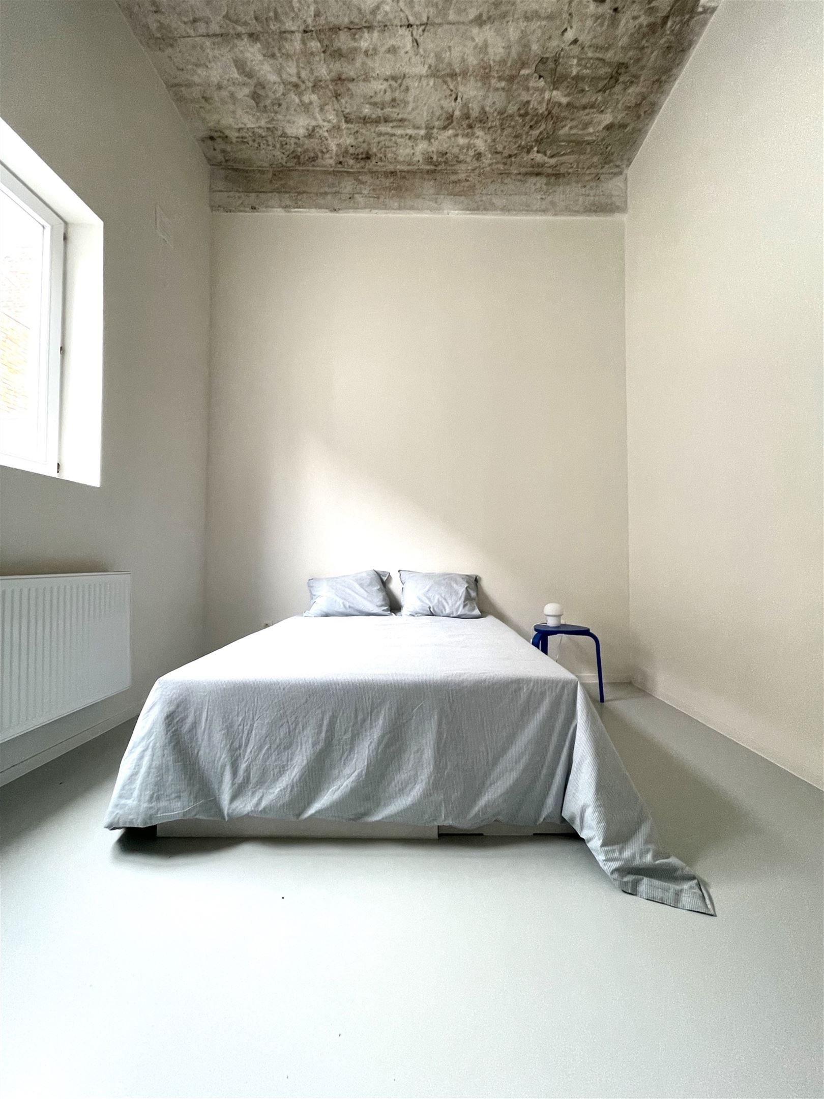 uitzonderlijke loft foto 9