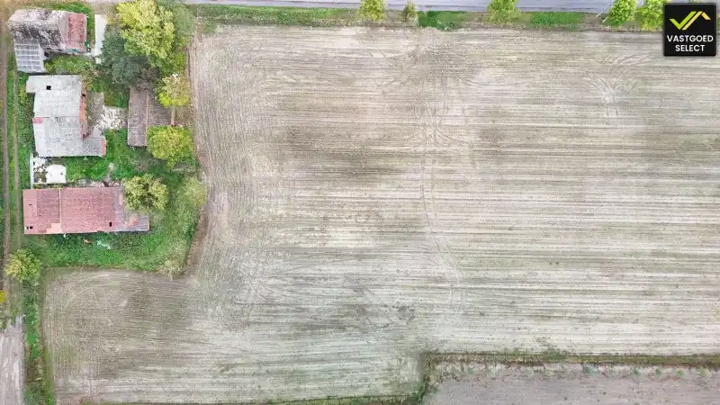 Te koop: Hoeve op 15.514 m² grond met potentieel – Moerstraat 14, Eeklo (nabij Sint-Laureins) foto 10