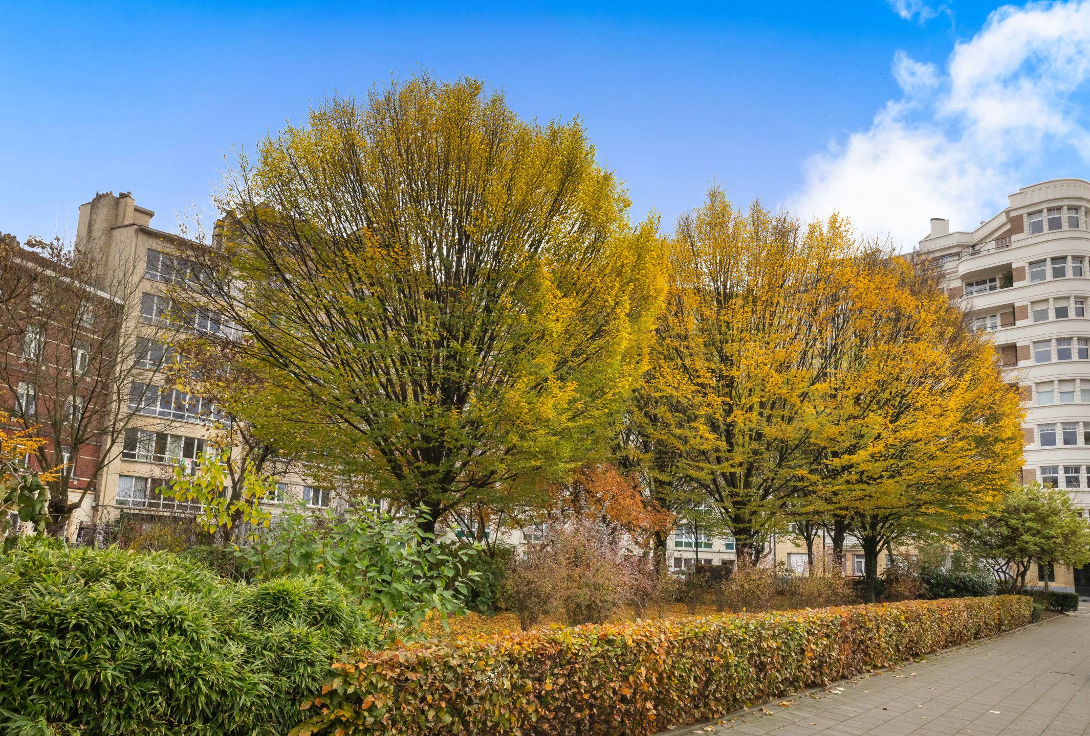 Appartement met 2 slaapkamers + terras : te renoveren foto 17