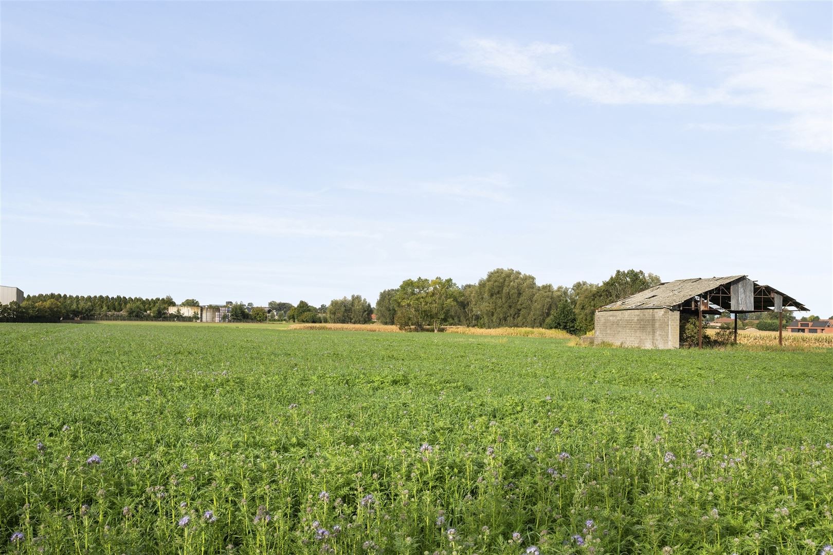 Te renoveren alleenstaande woning foto 26