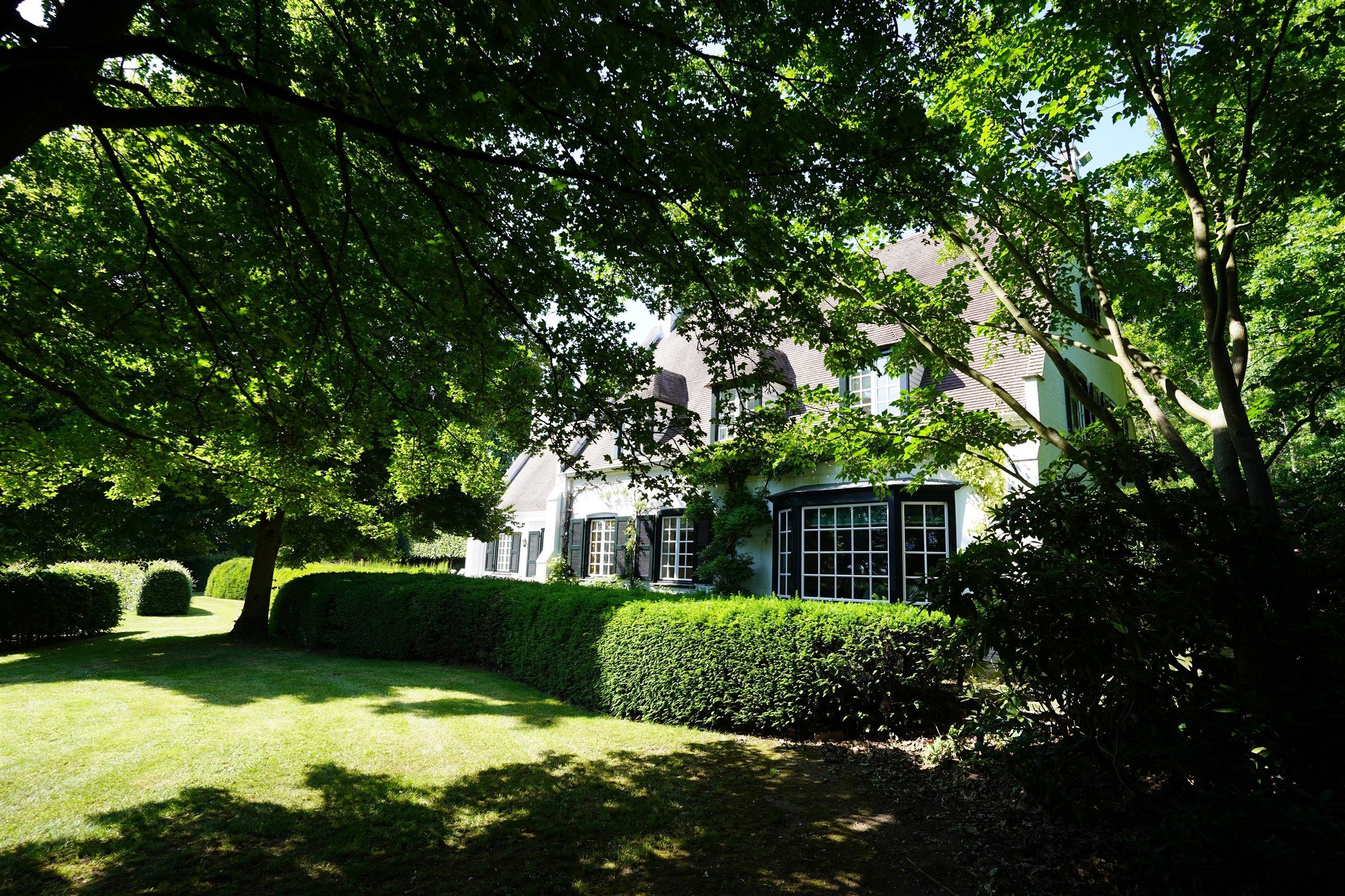Bellegem bos: uitzonderlijk, waardevol landgoed! foto 6