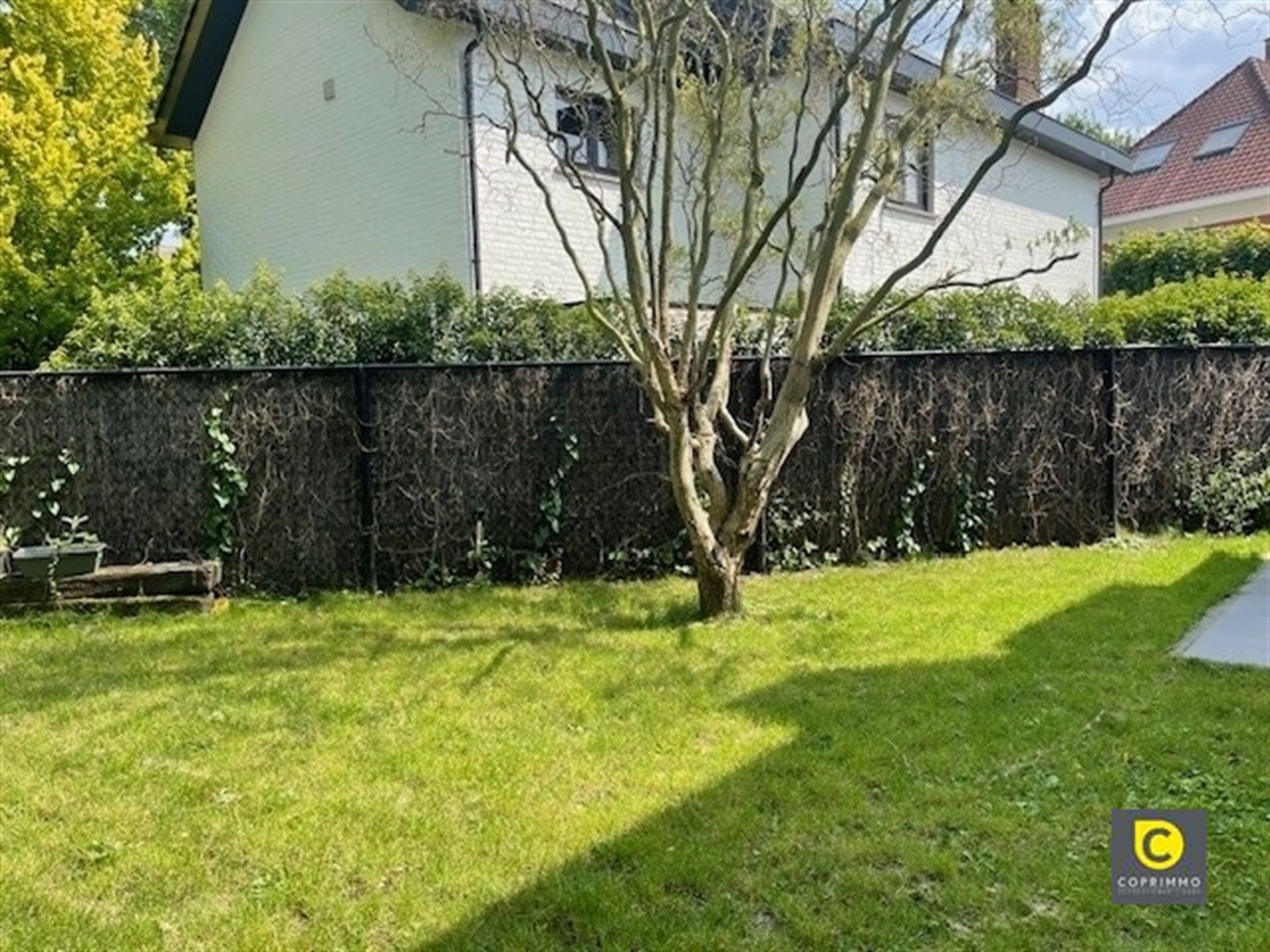 Woning op toplocatie, 5 slp, tuin  foto 8