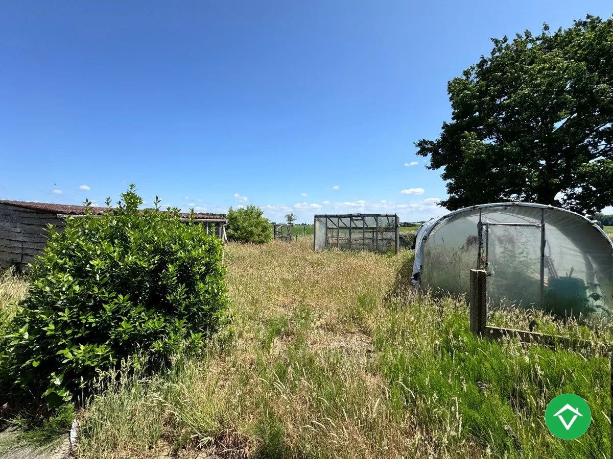 Ruime open bebouwing met 3 slaapkamers op groot perceel in Koekelare foto 8