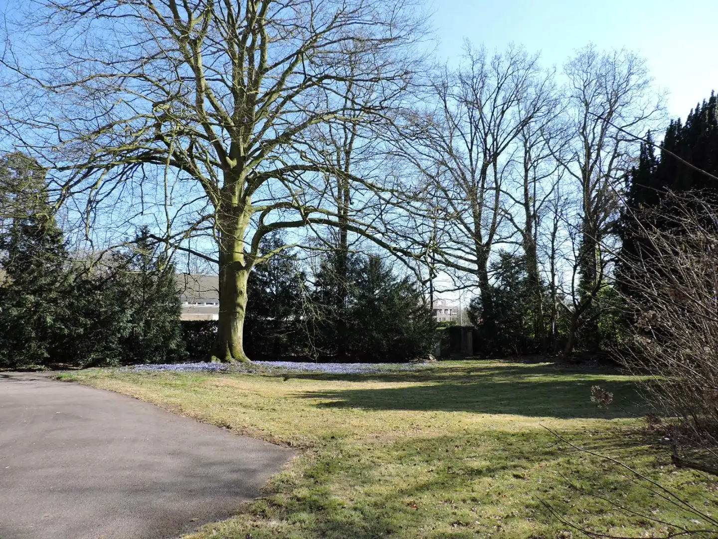 Kasteel  'Ten Dyckbos' op  56a 15ca foto 2