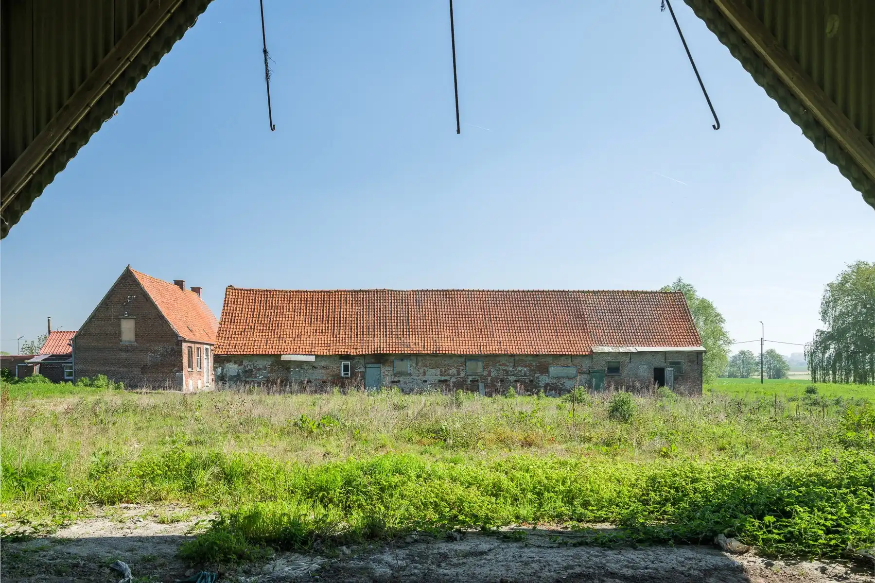 Een hectare groen, klaar voor jouw toekomst (zonevreemd!) foto 11