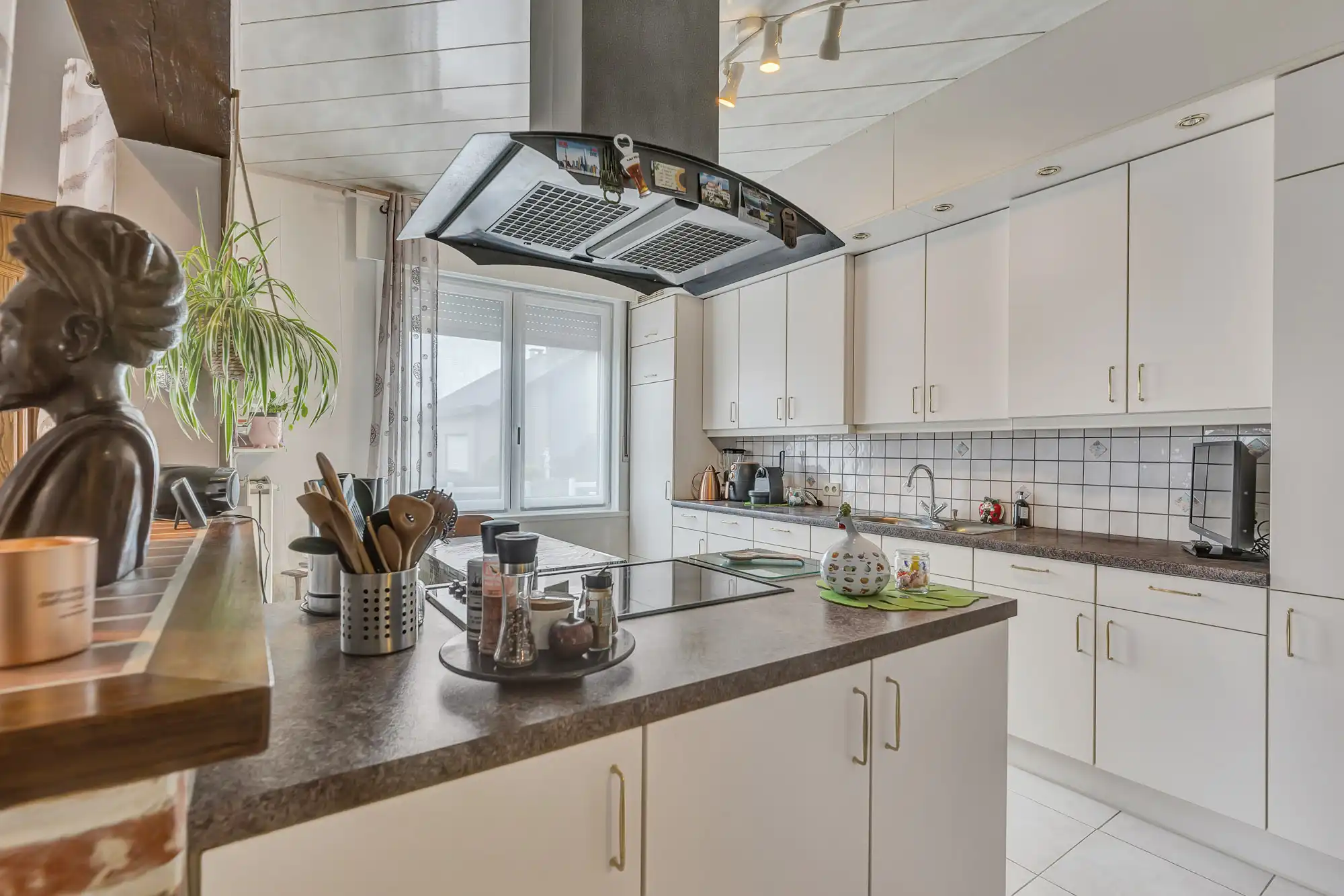 Charmante woning met 4 slaapkamers en garage in Schepdaal! foto 2