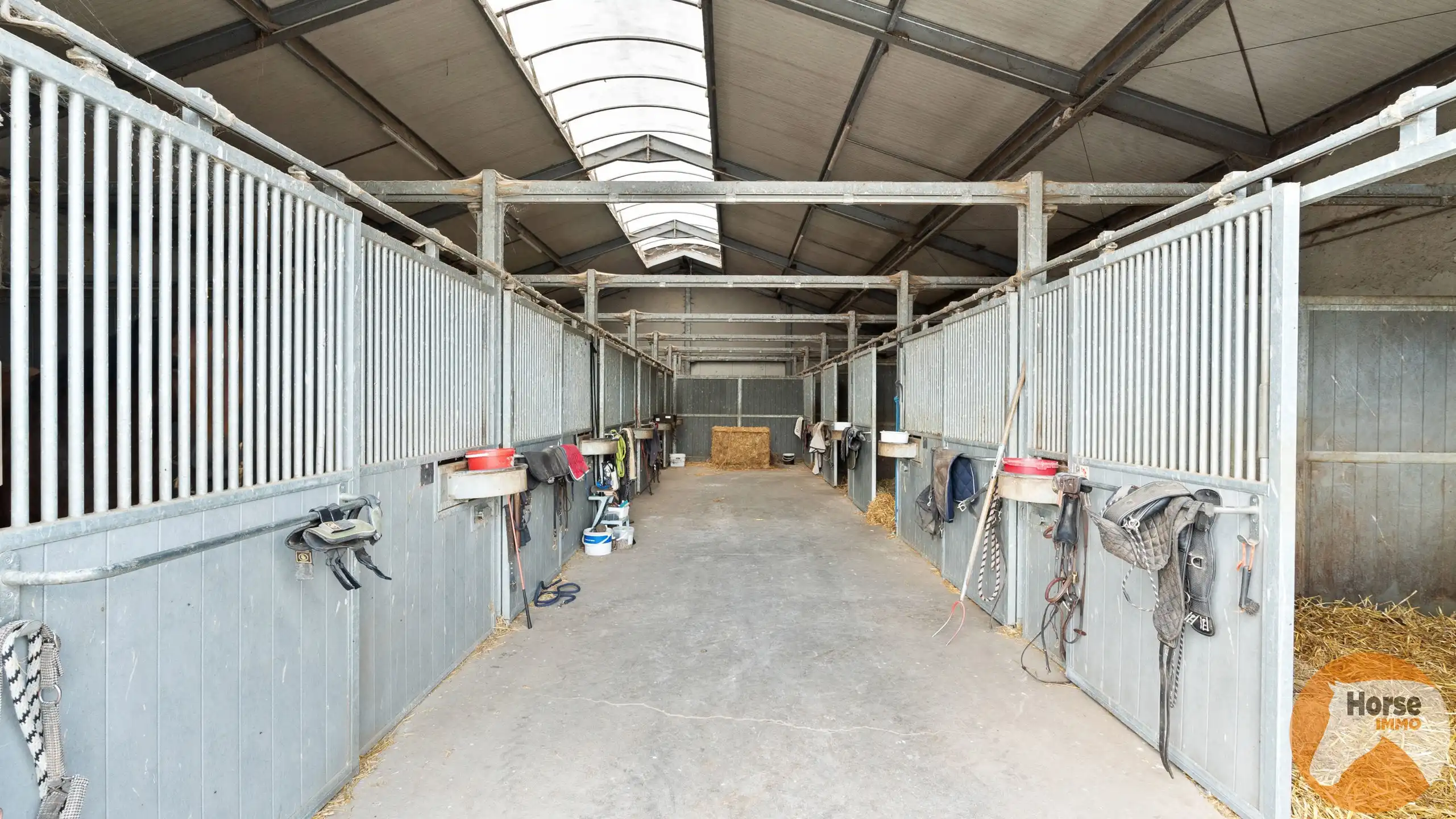 DILBEEK - Unieke paardeninfrastructuur op +-5,6ha foto 13