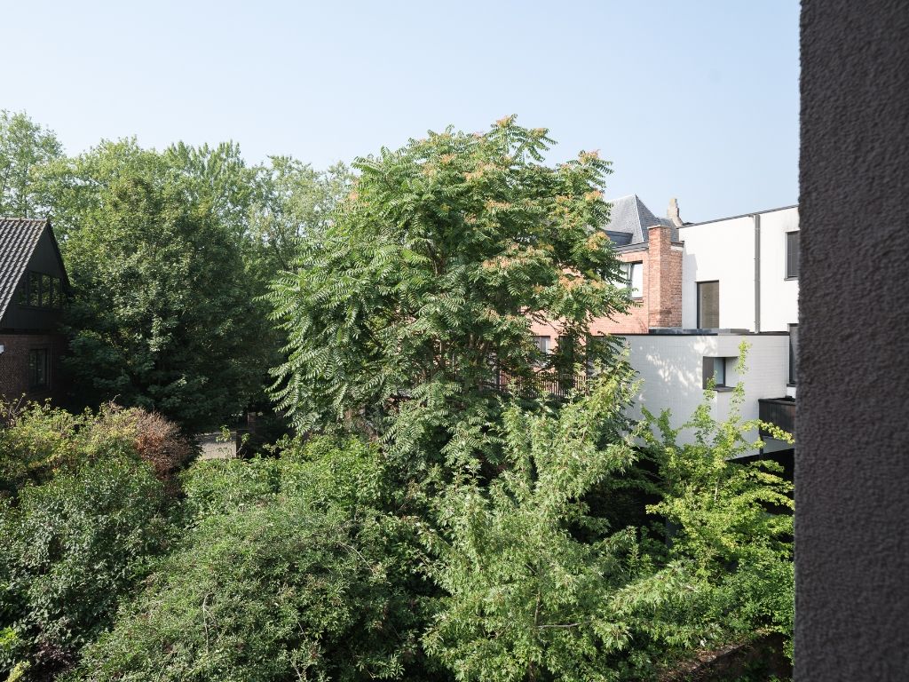 Burgerwoning met weelderige stadstuin, centraal tussen Gent-Sint-Pieters en de Bijloke foto 15