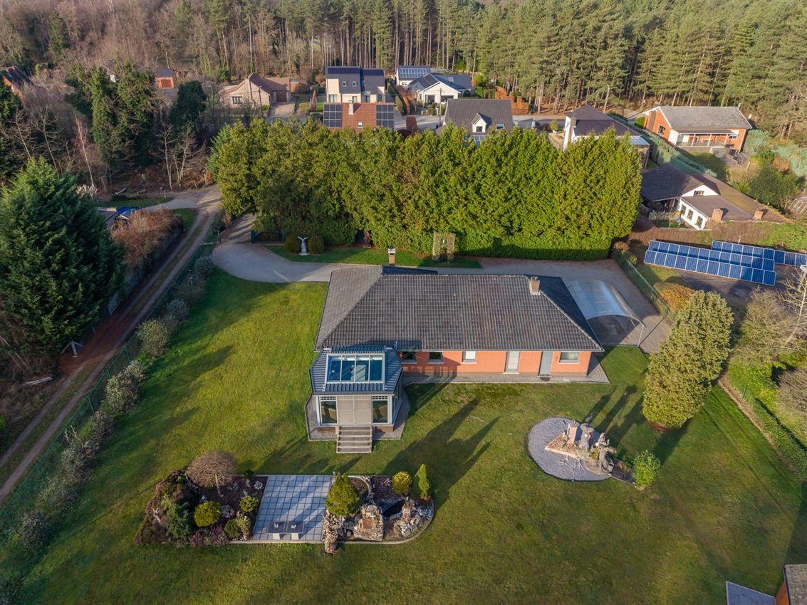 verborgen parel in het groen foto 35