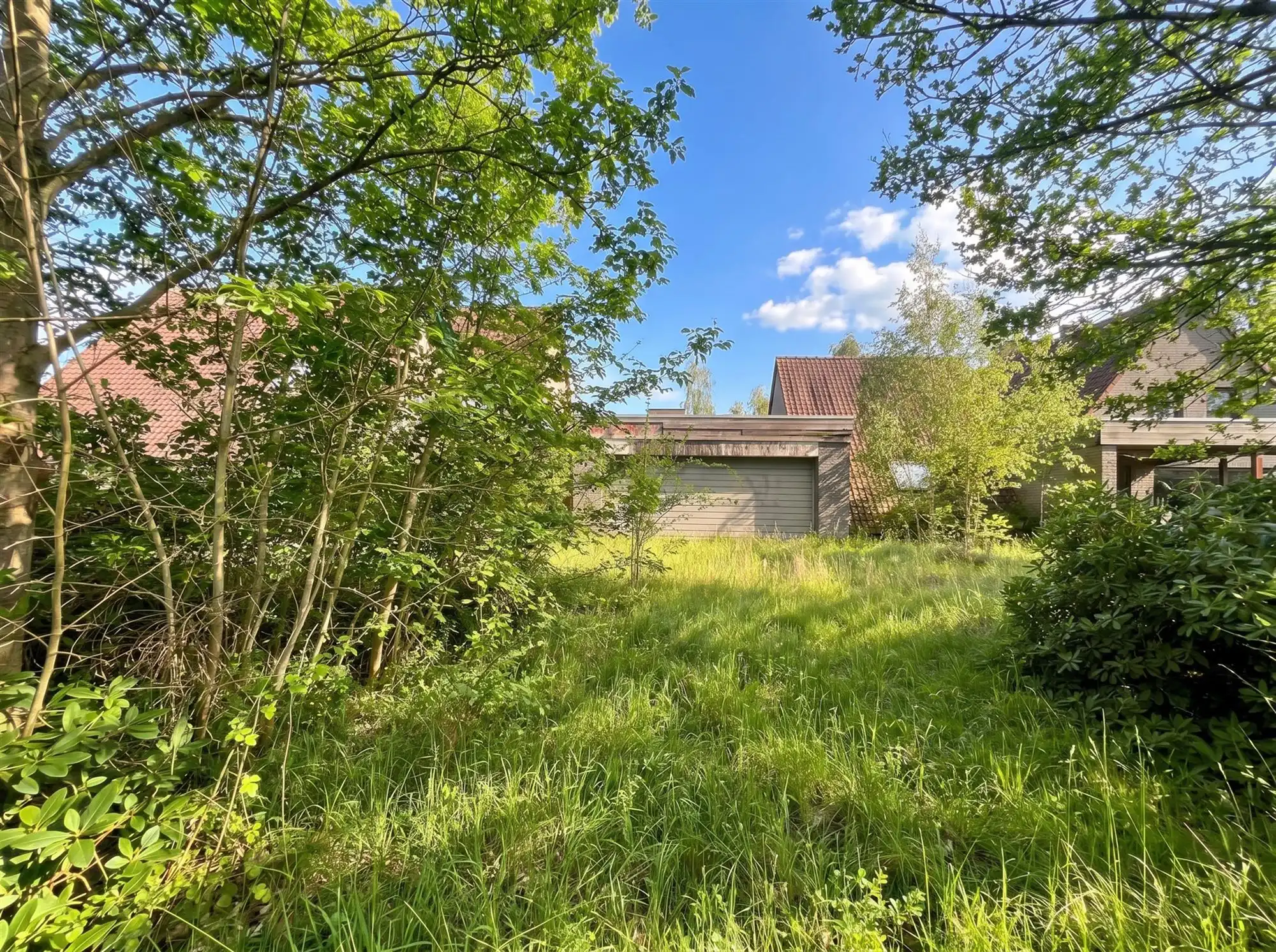 Te renoveren enorme villa (925 m² bewoonbaar) op 7874 m²  foto 5