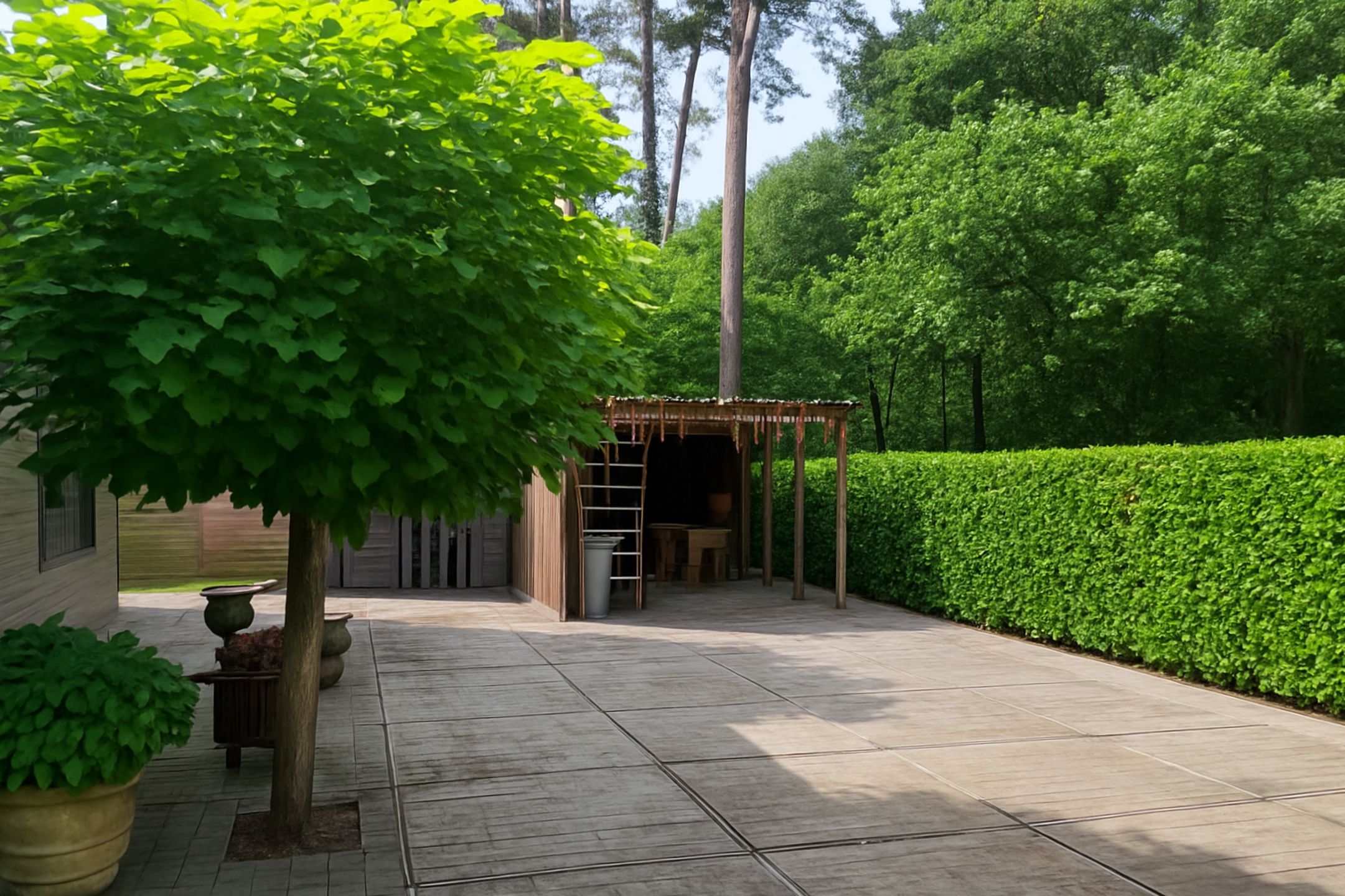 Wordt deze mooie bungalow jouw zomerverblijf in 2026? foto 23