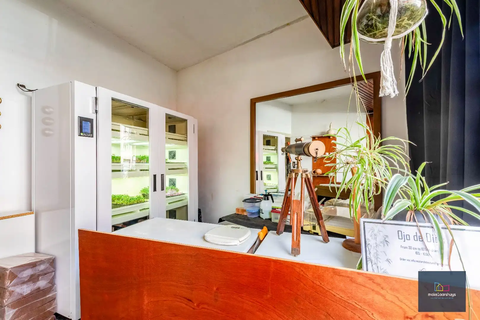 Woning met 3 slaapkamers en verrassende tuin met bijgebouwen foto 3