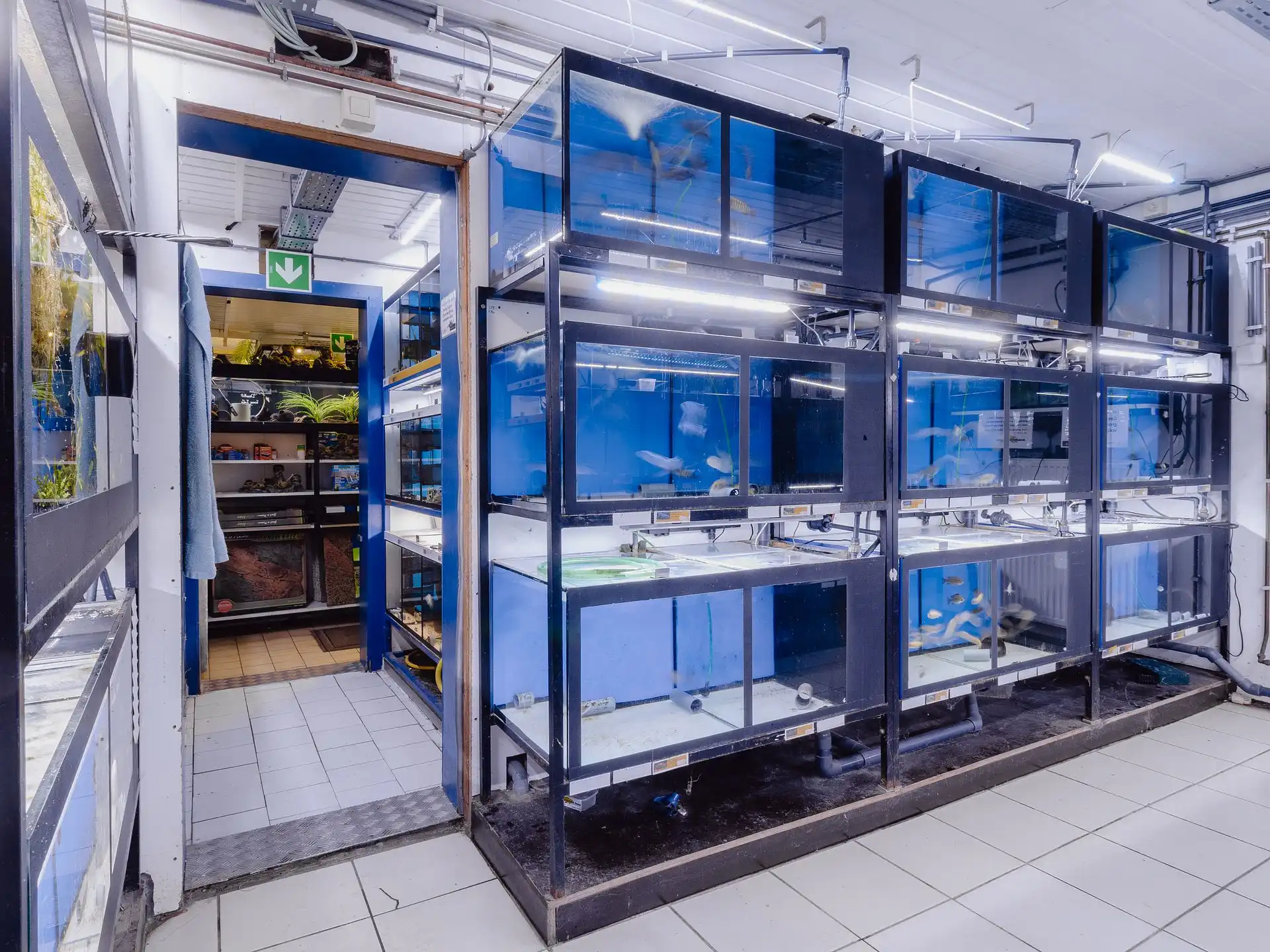 Volledig te renoveren bel-etage woning met terras foto 9