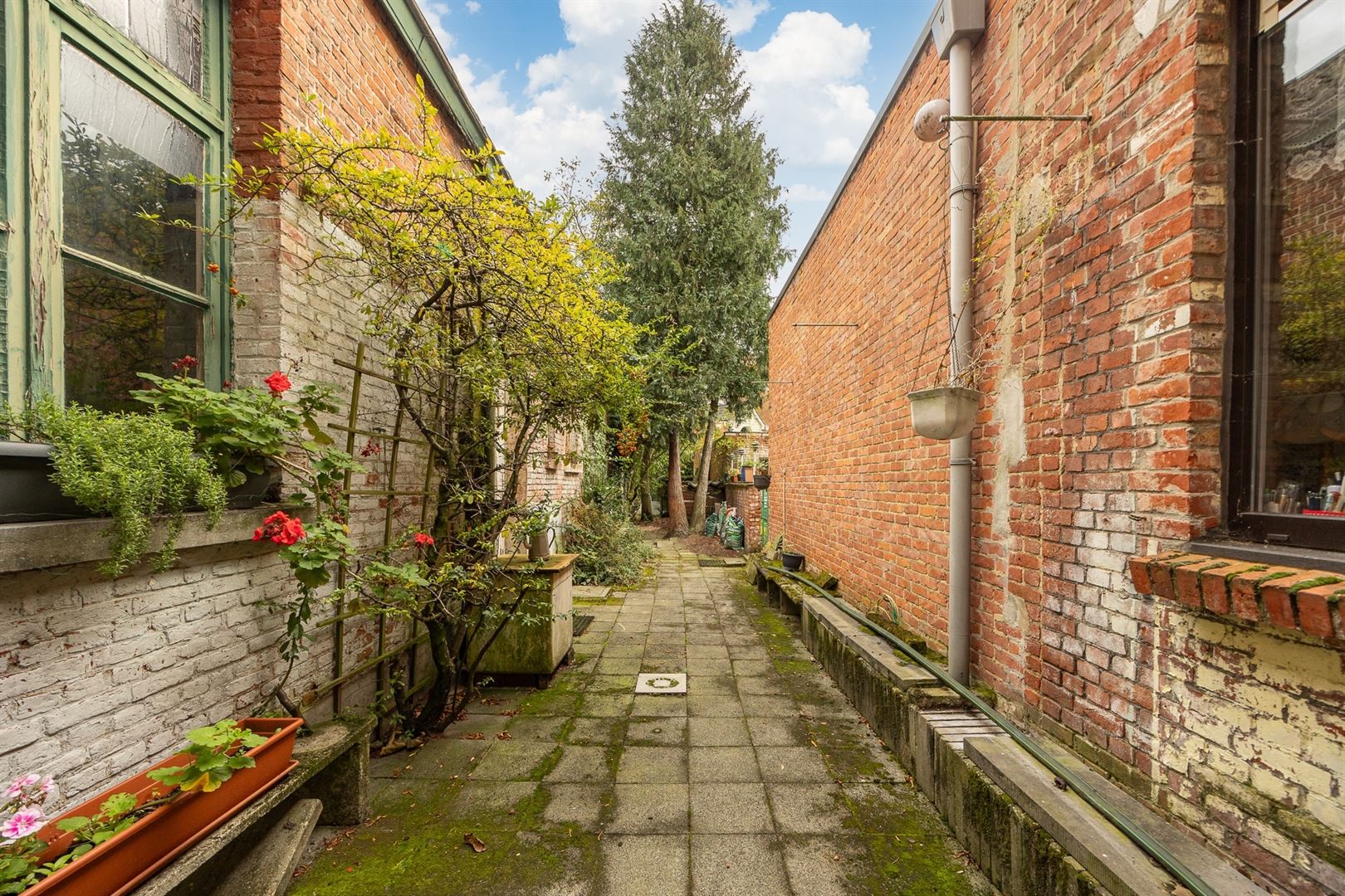 Karaktervolle burgerwoning  met onbeperkte renovatiemogelijkheden foto 9