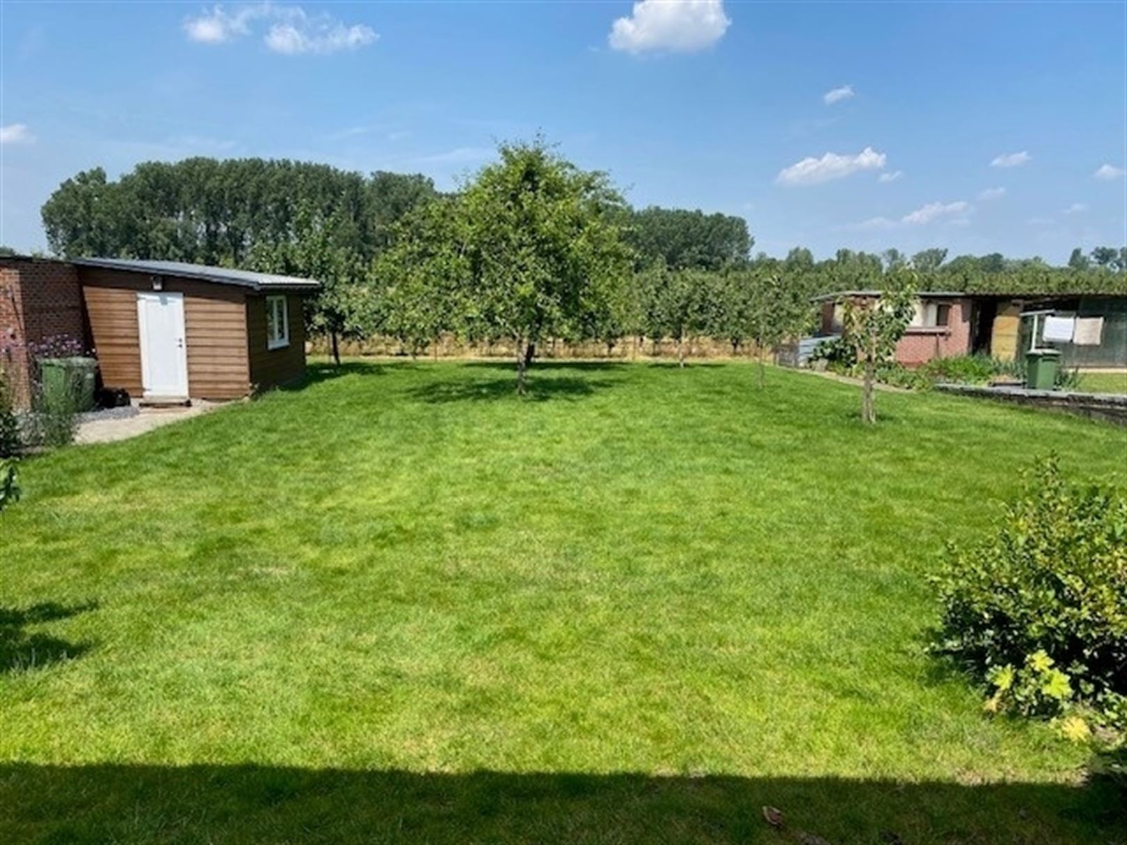 Villa foto 3