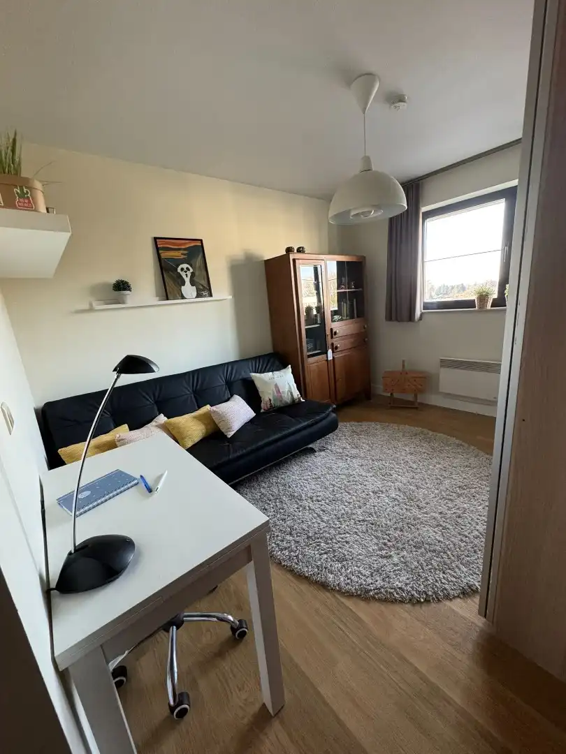 Ruim appartement met zonnig terras - geen lasten foto 6