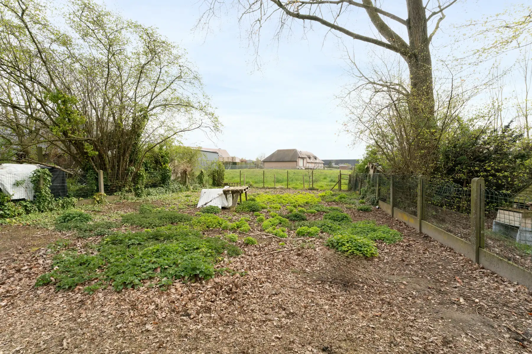 Gezellige woning met potentieel op 985 m² foto 23