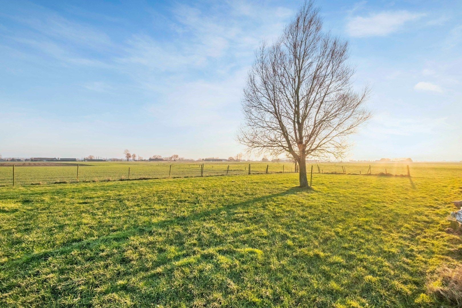 Charmante hoeve met weide te koop in Poperinge foto 14