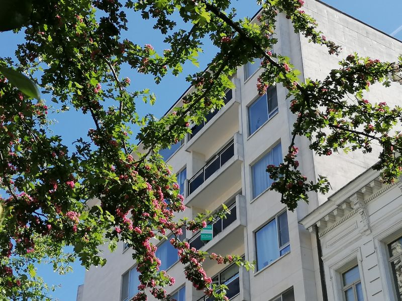 Aangenaam 2-slaapkamerappartement in de Museumwijk, Antwerpen-Zuid foto {{pictureIndex}}