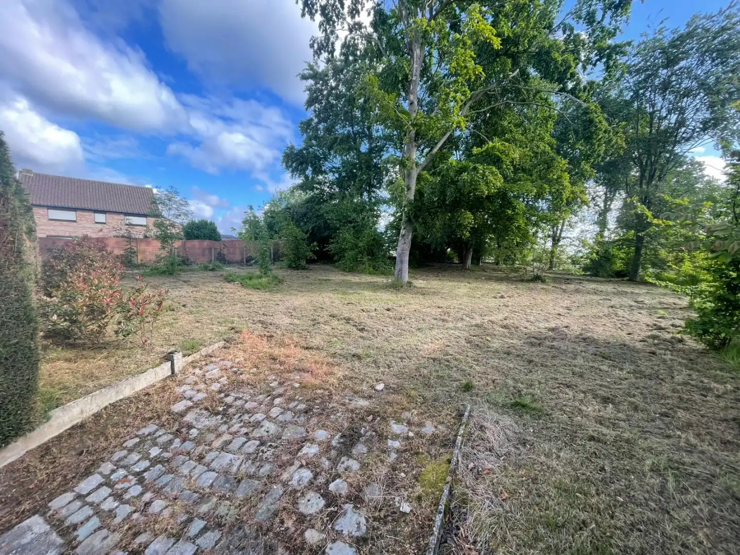 Perceel grond 16a 64ca voor open bebouwing te Drieslinter foto 4
