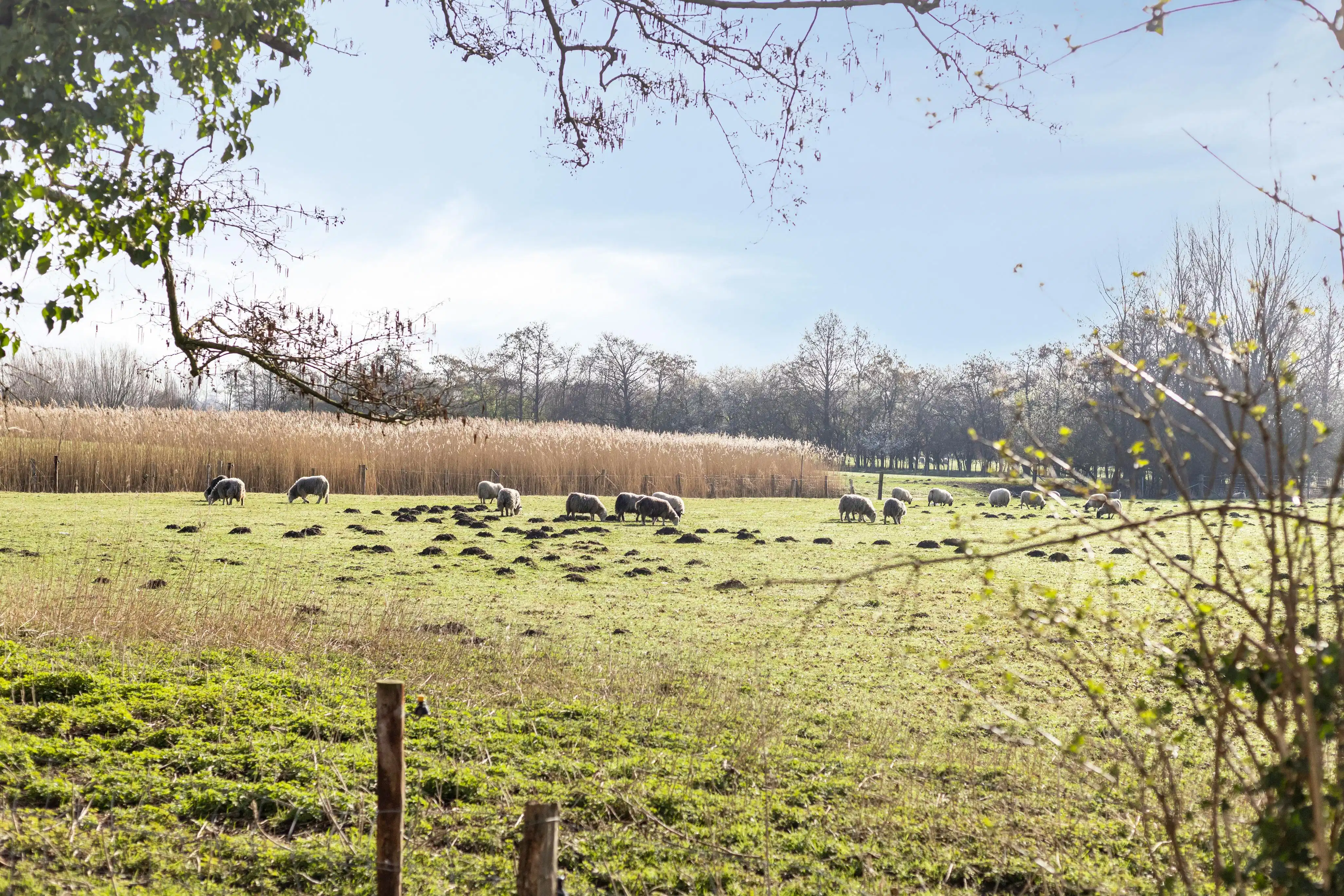 Gerenoveerde villa met 4 slaapkamers en prachtige vergezichten foto 26