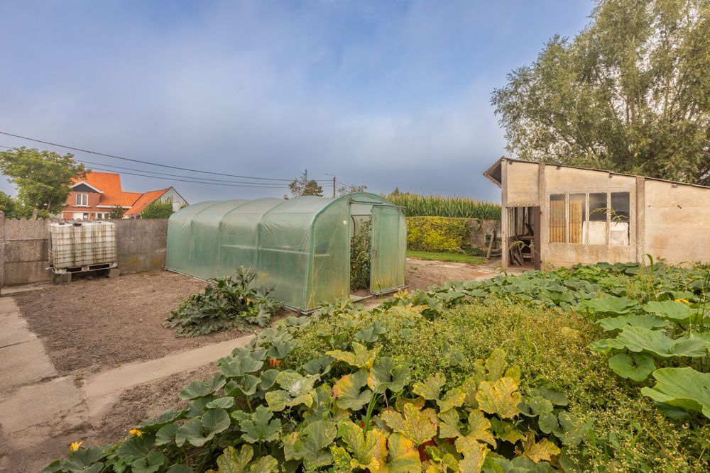 Hoeve met stallen op 3780 m² aan de grens met Elsegem foto 9