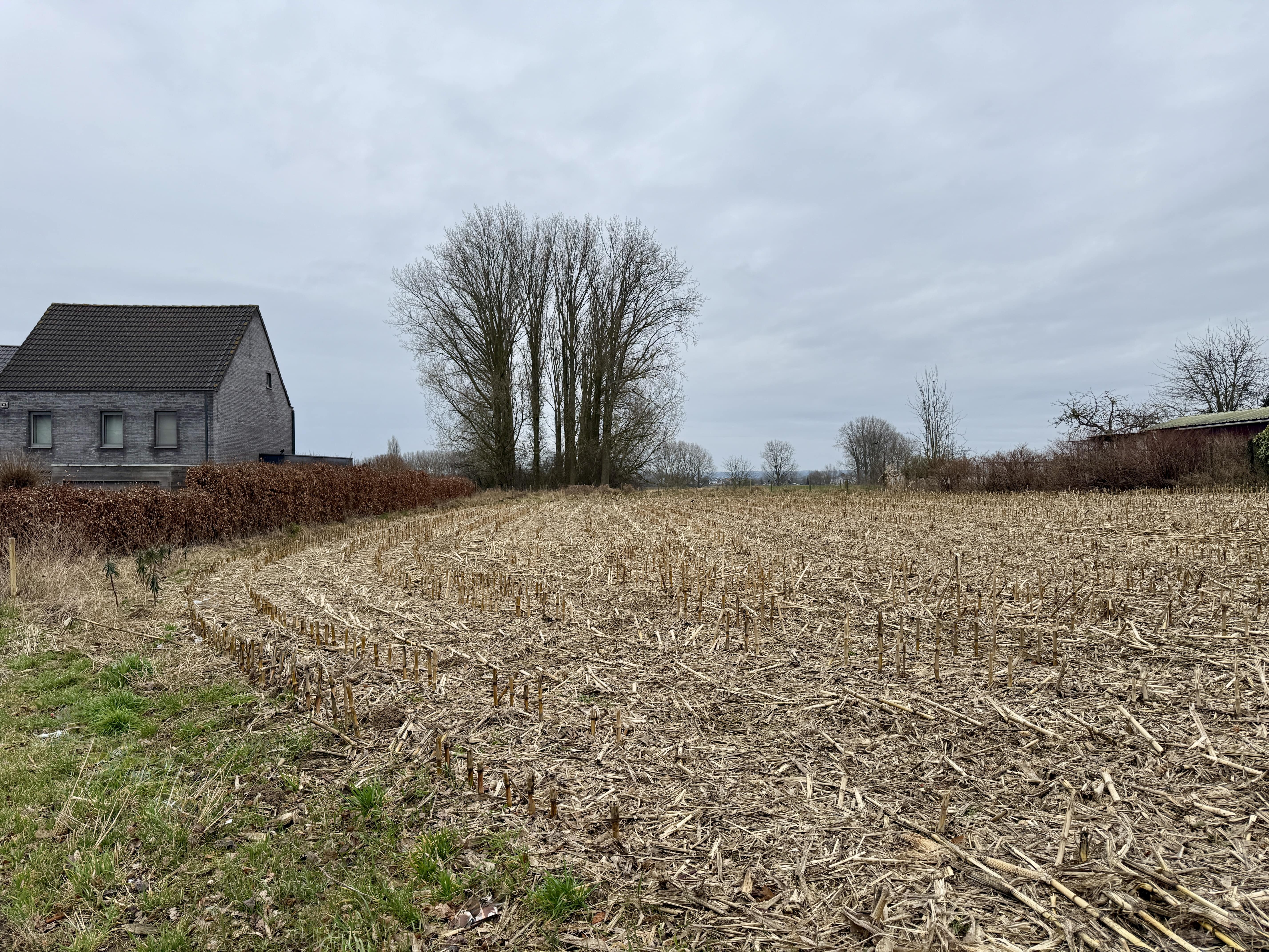 Residentieel gelegen bouwgrond met verzicht foto {{pictureIndex}}