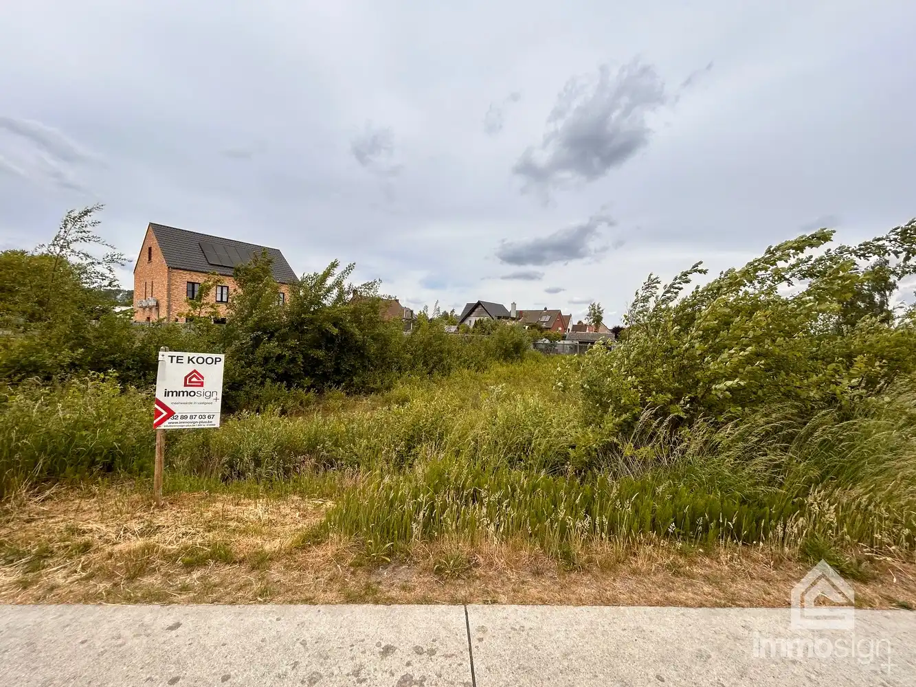 Unieke bouwkavel van 32a26ca met achterliggend weiland te Grote Heide foto 12