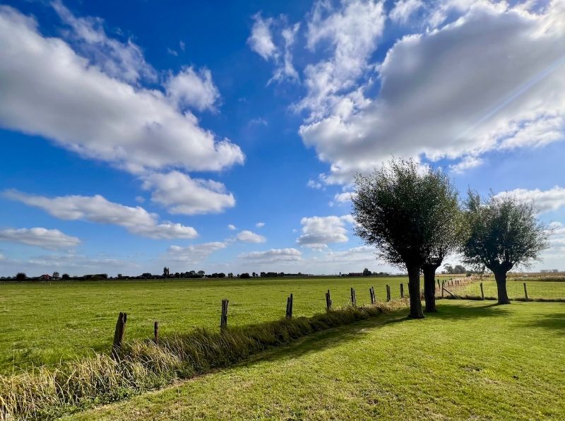 Charmante 3-kamerwoning in pittoresk Nieuwmunster met prachtig uitzicht foto 2