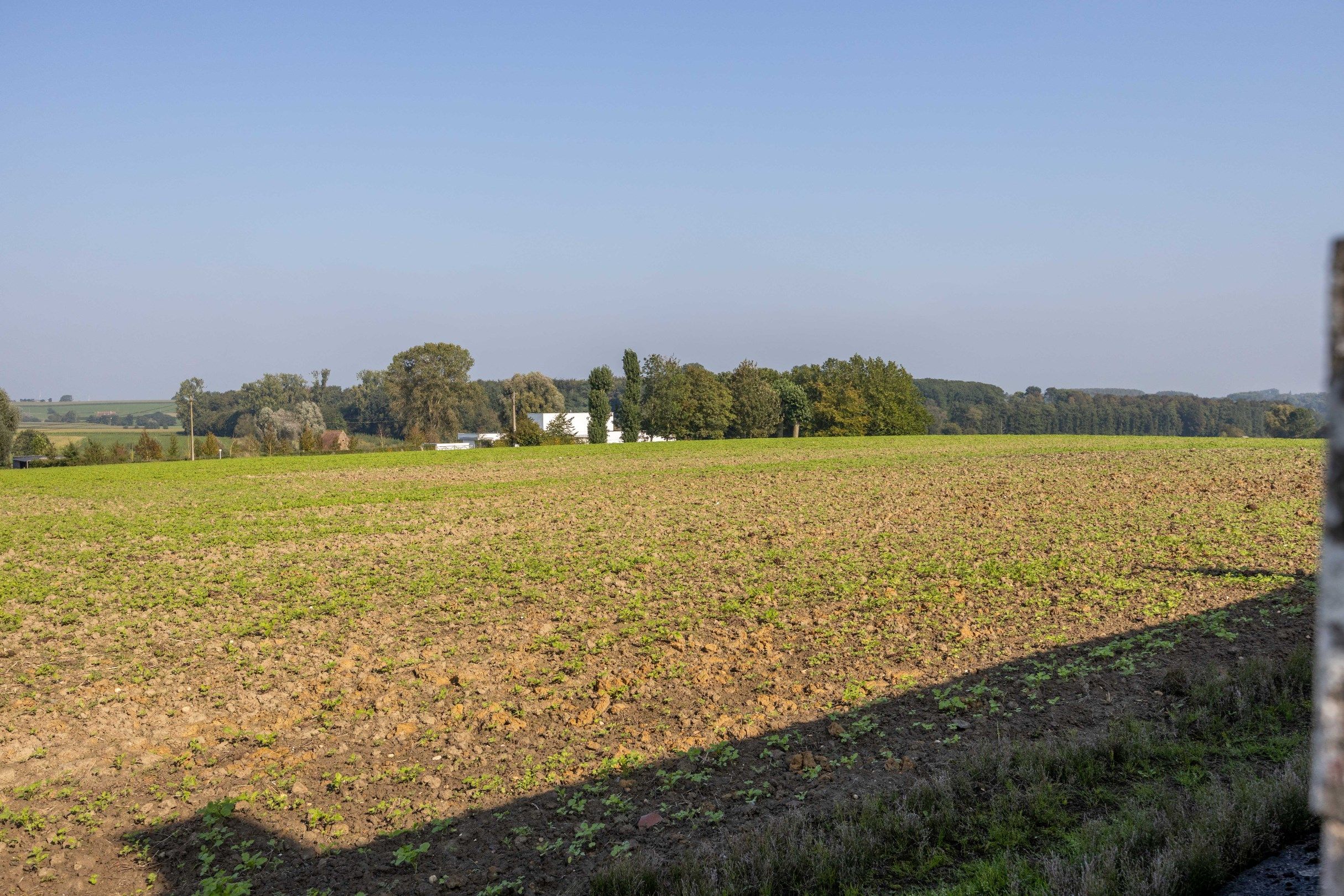 UNIEKE LANDEIGENDOM OP 2,1 HA foto 12