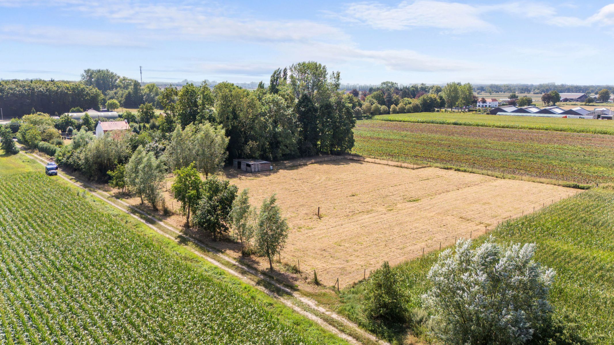 Te koop: weidegrond met stal nabij de Vakebuurtstraat foto {{pictureIndex}}